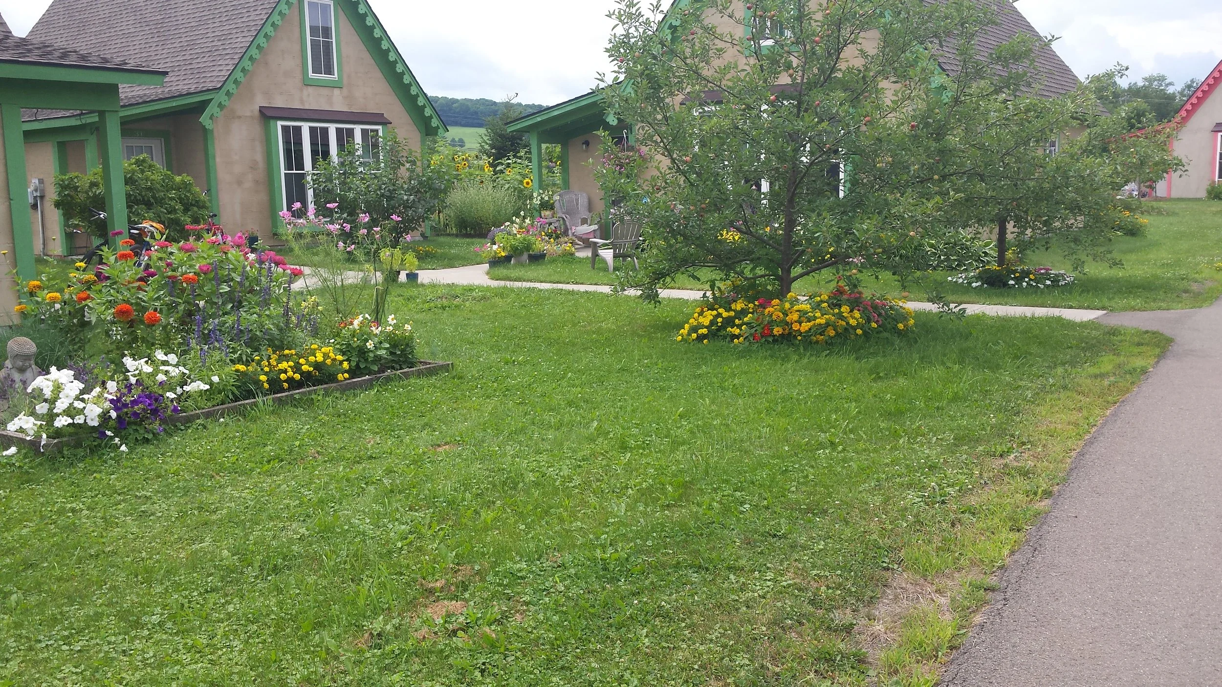 Barbara Roth-Chapman 22.jpg