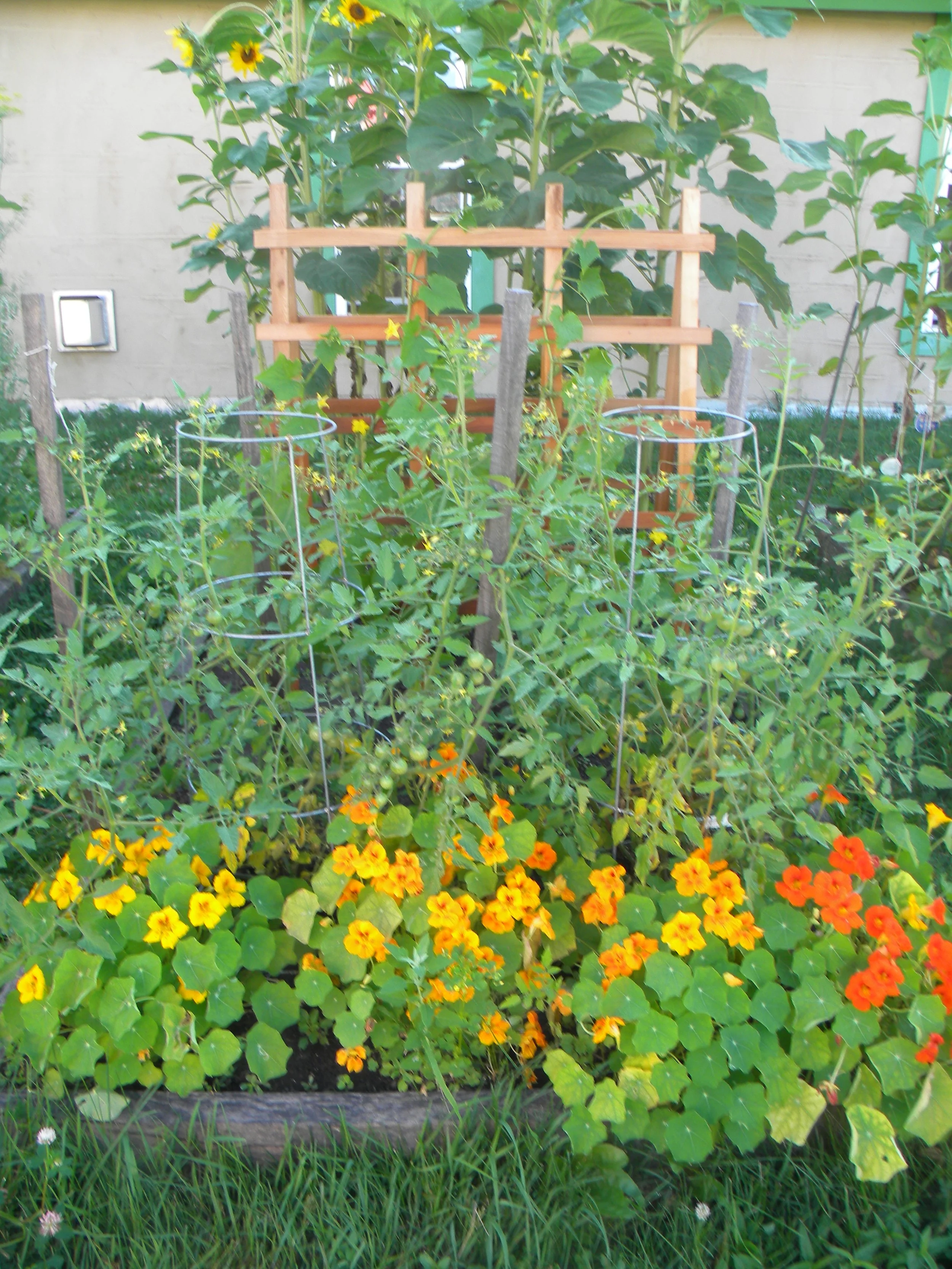 Barbara Roth-Chapman 24.JPG