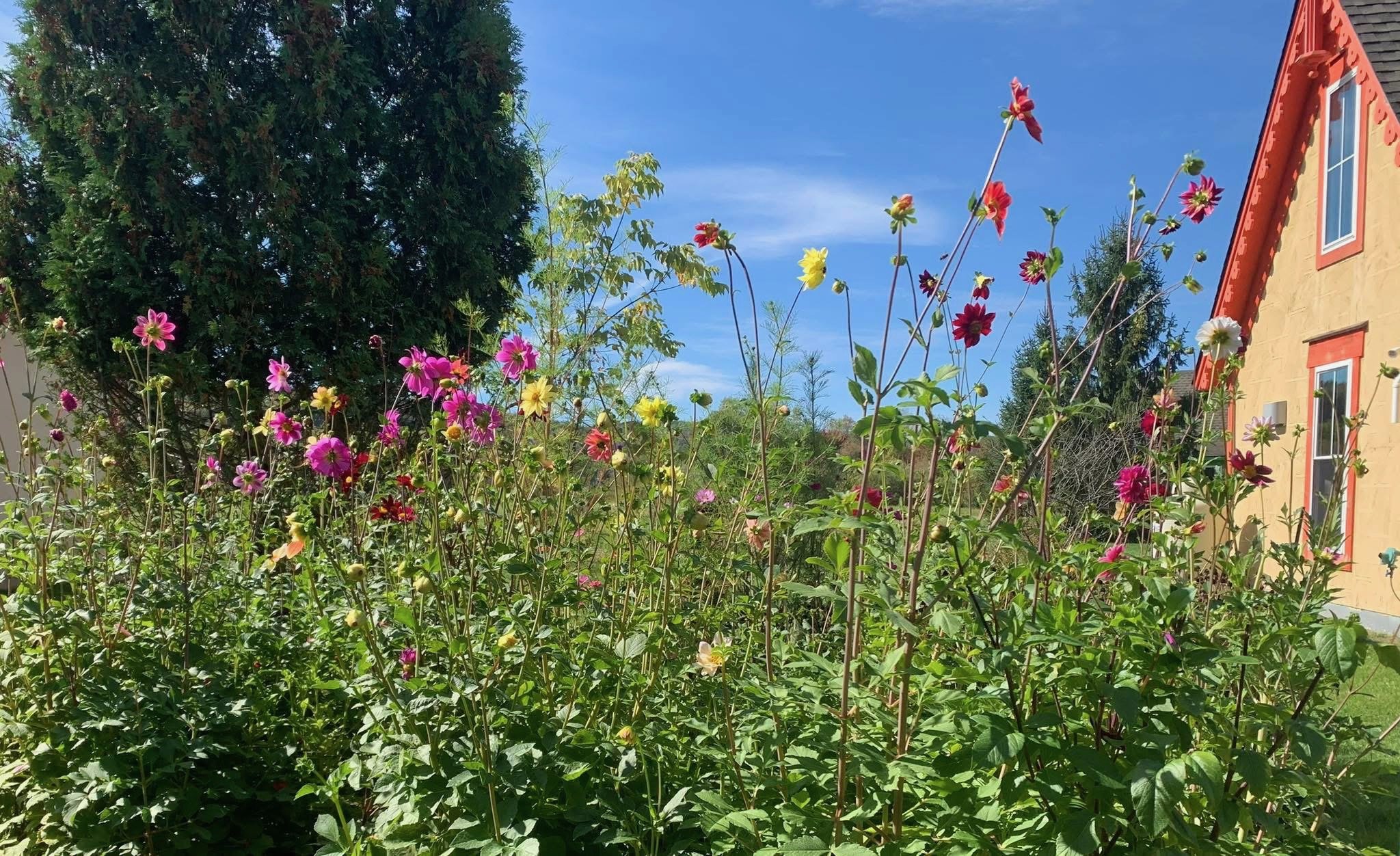 Christine Uliassi 2.jpg