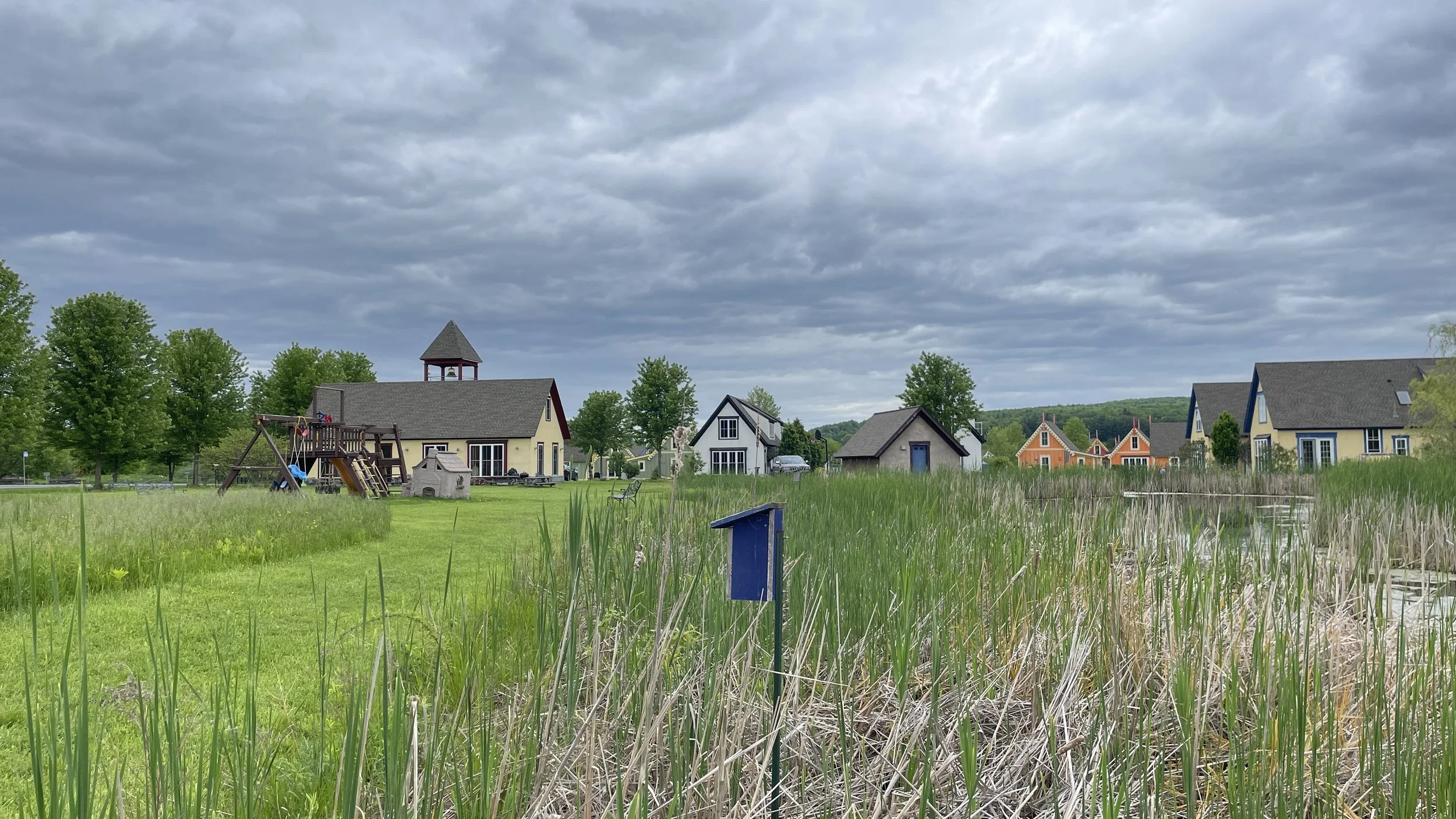 Christopher Pollock 2. JPEG.JPEG