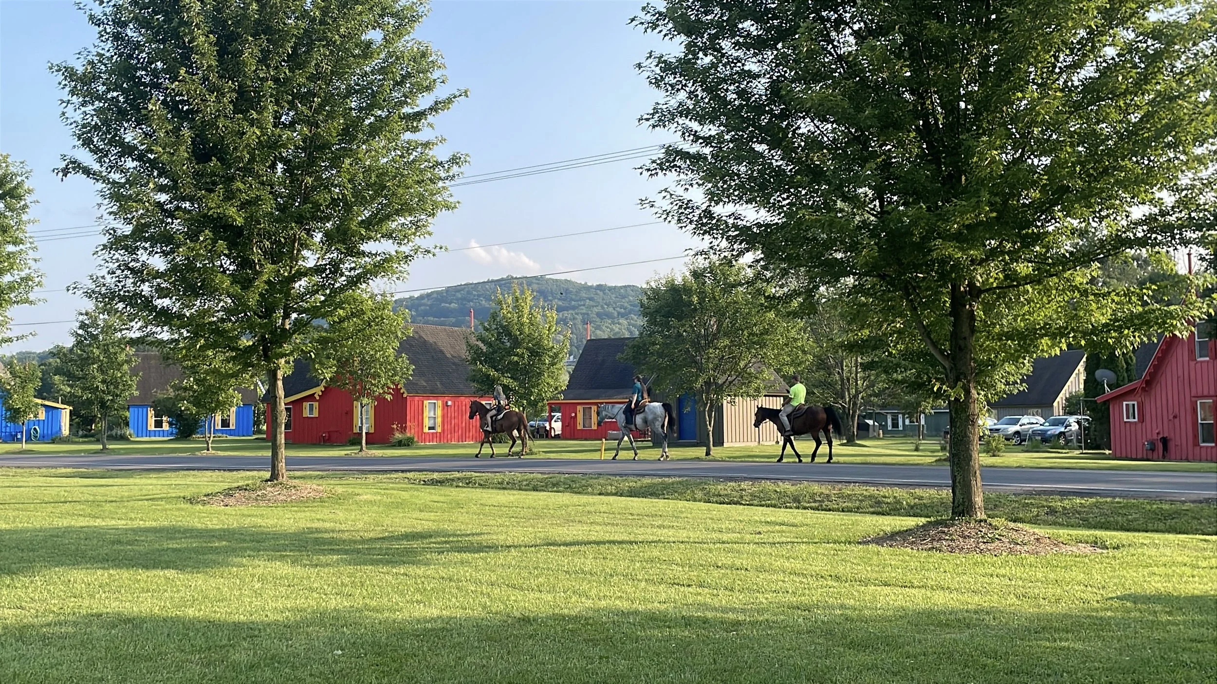 Christopher Pollock 5.JPEG