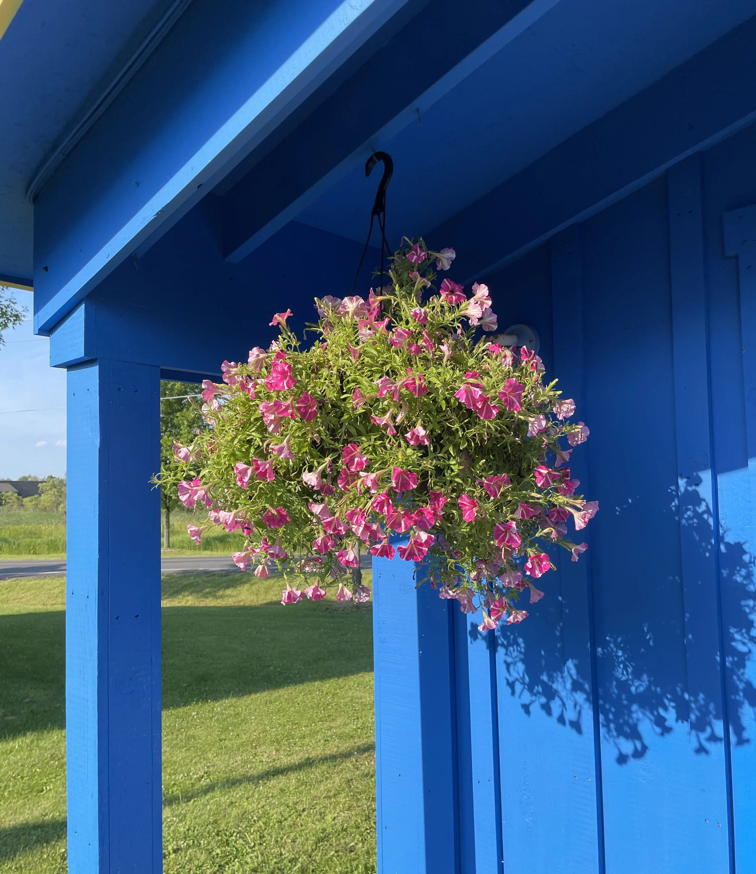 Christopher Pollock 6.JPEG