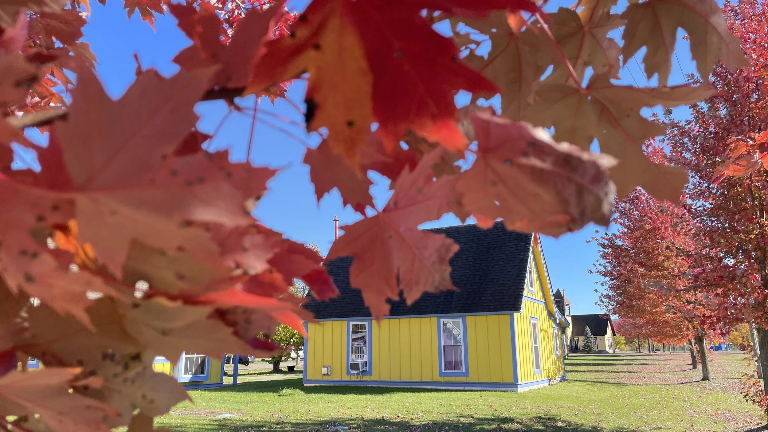 Christopher Pollock 8.JPEG