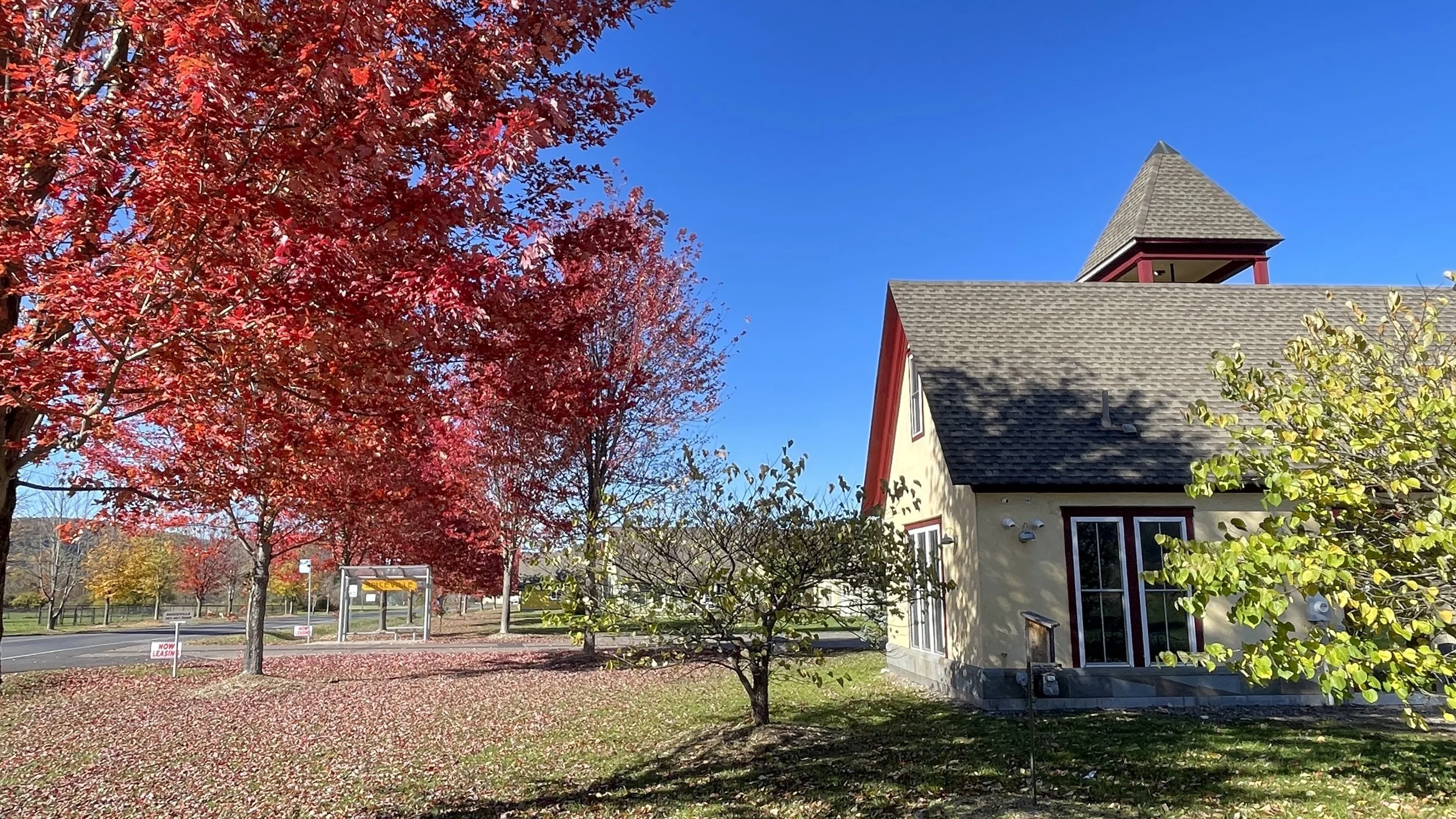 Christopher Pollock 9.JPEG