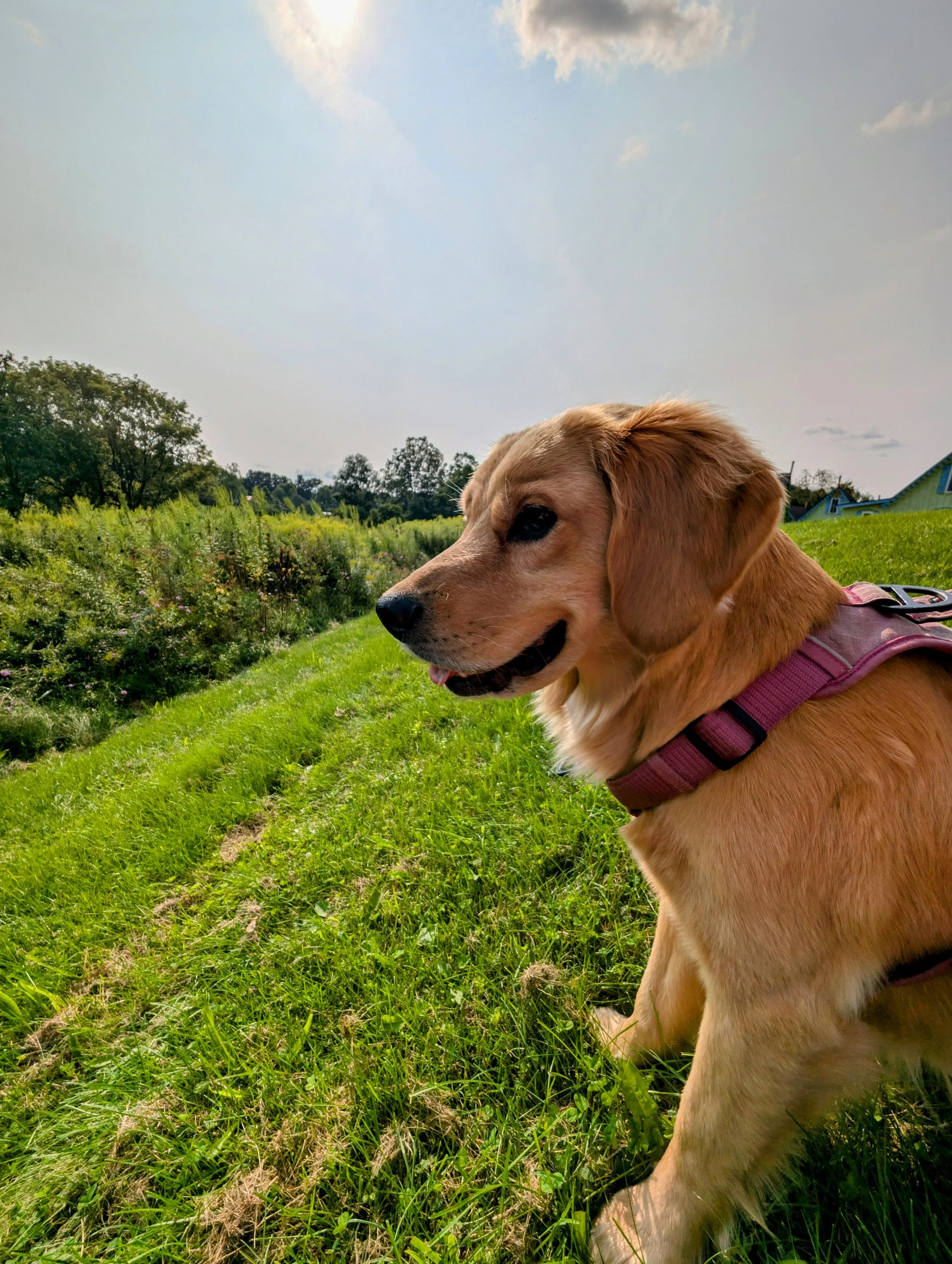 Juan Pablo Albornoz 3.jpg