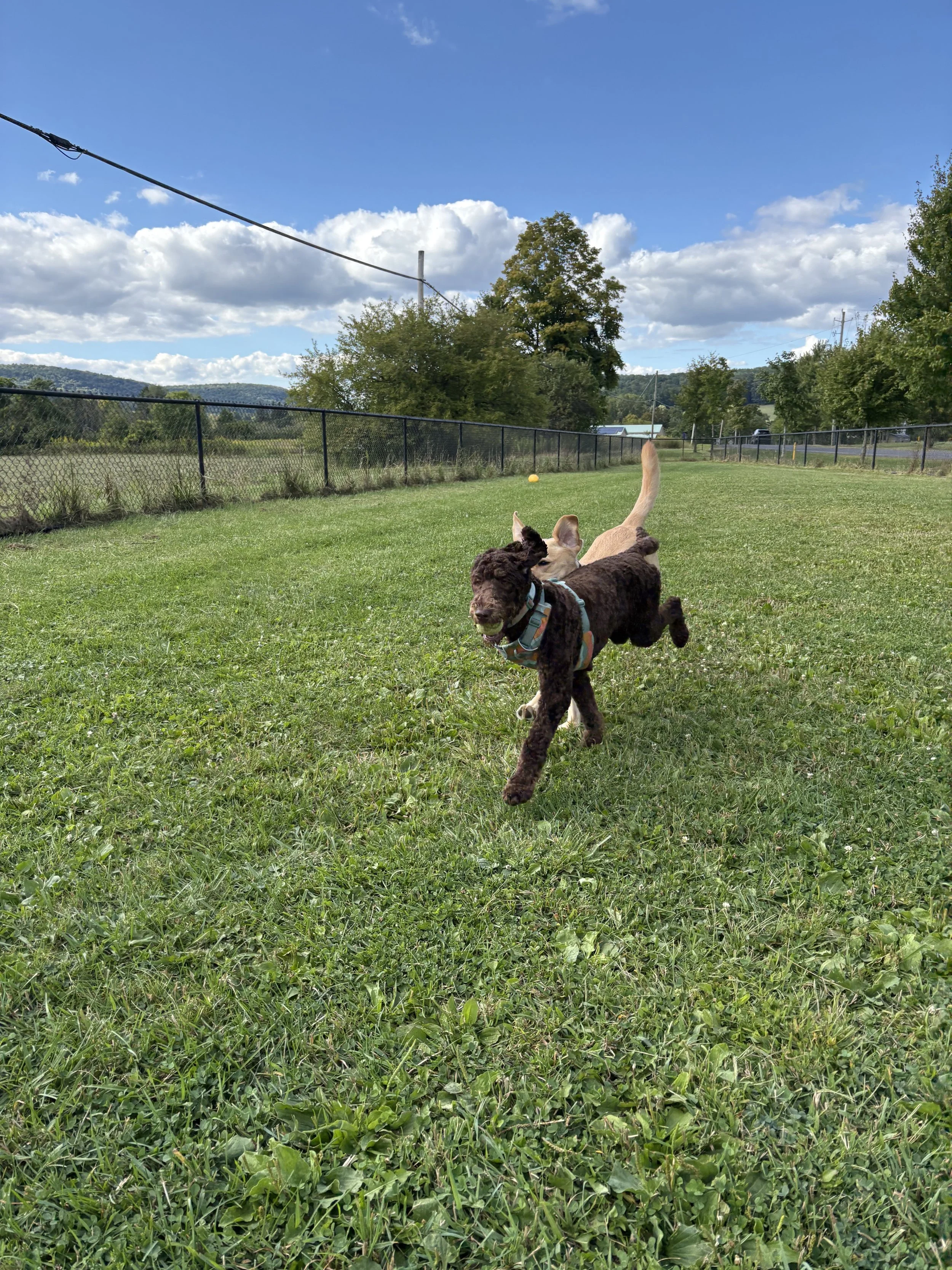 MaryKelly Hilton 2.jpeg