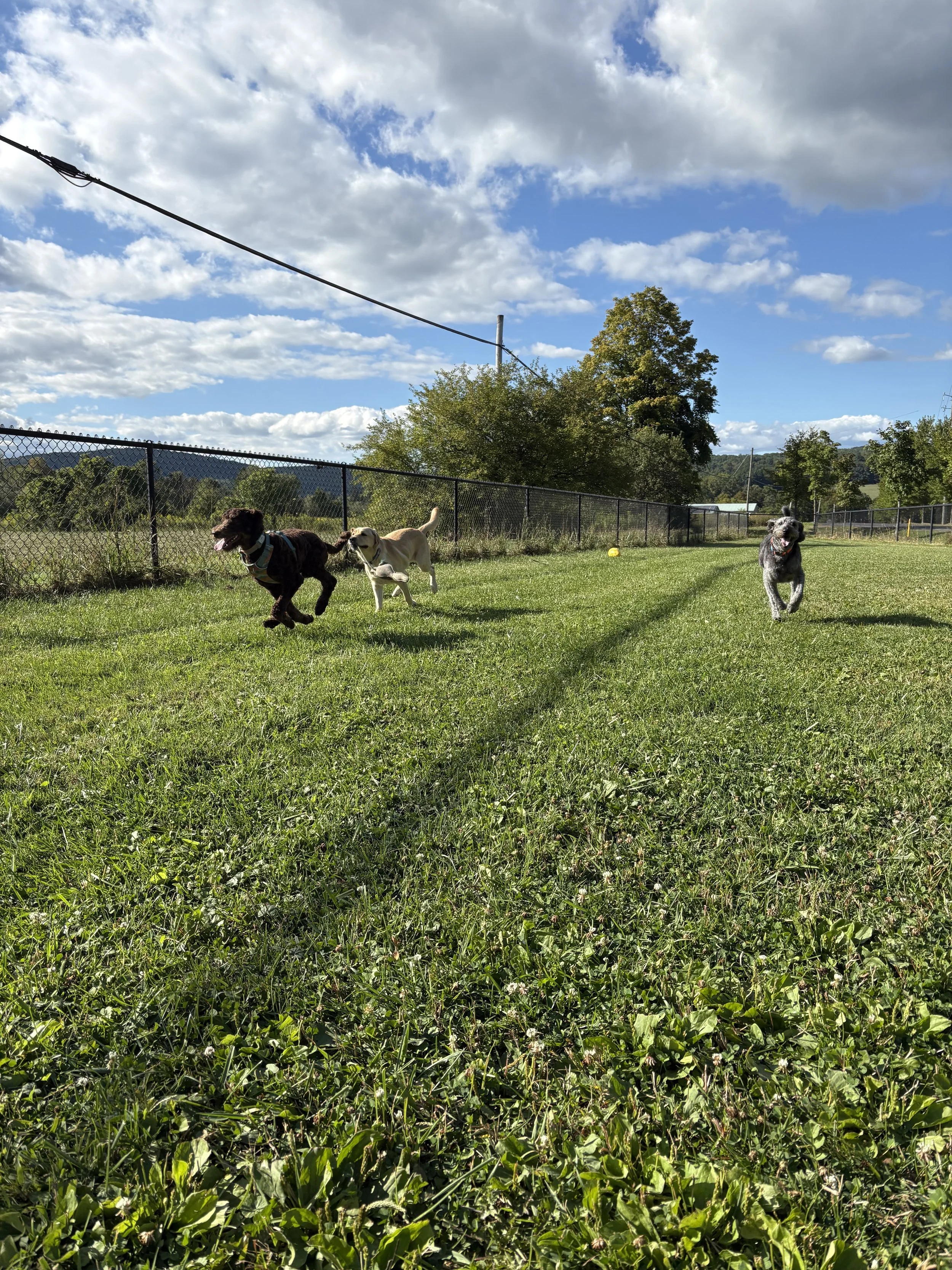 MaryKelly Hilton 3.jpeg