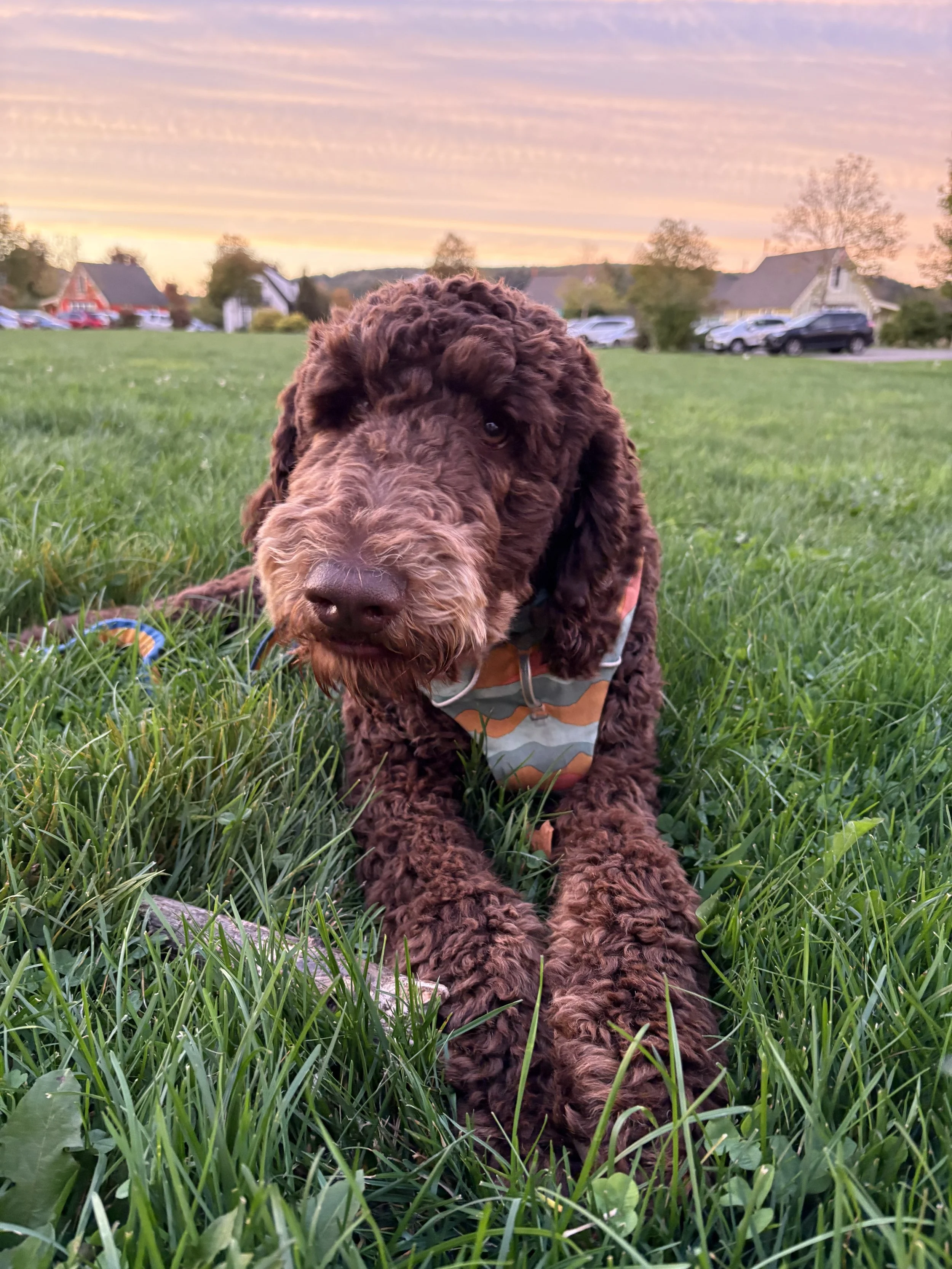 MaryKelly Hilton 4.jpeg