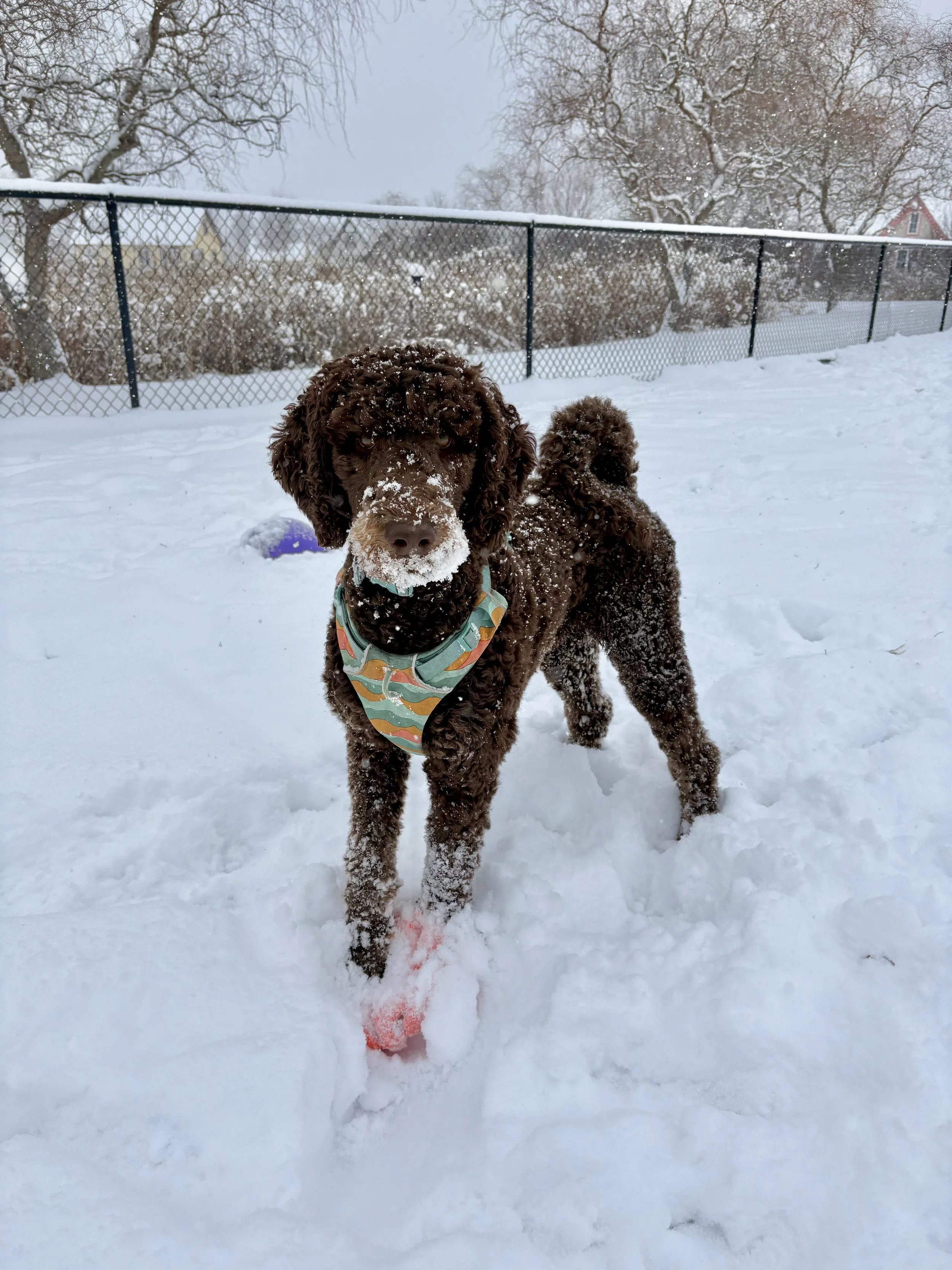 MaryKelly Hilton 5.jpeg