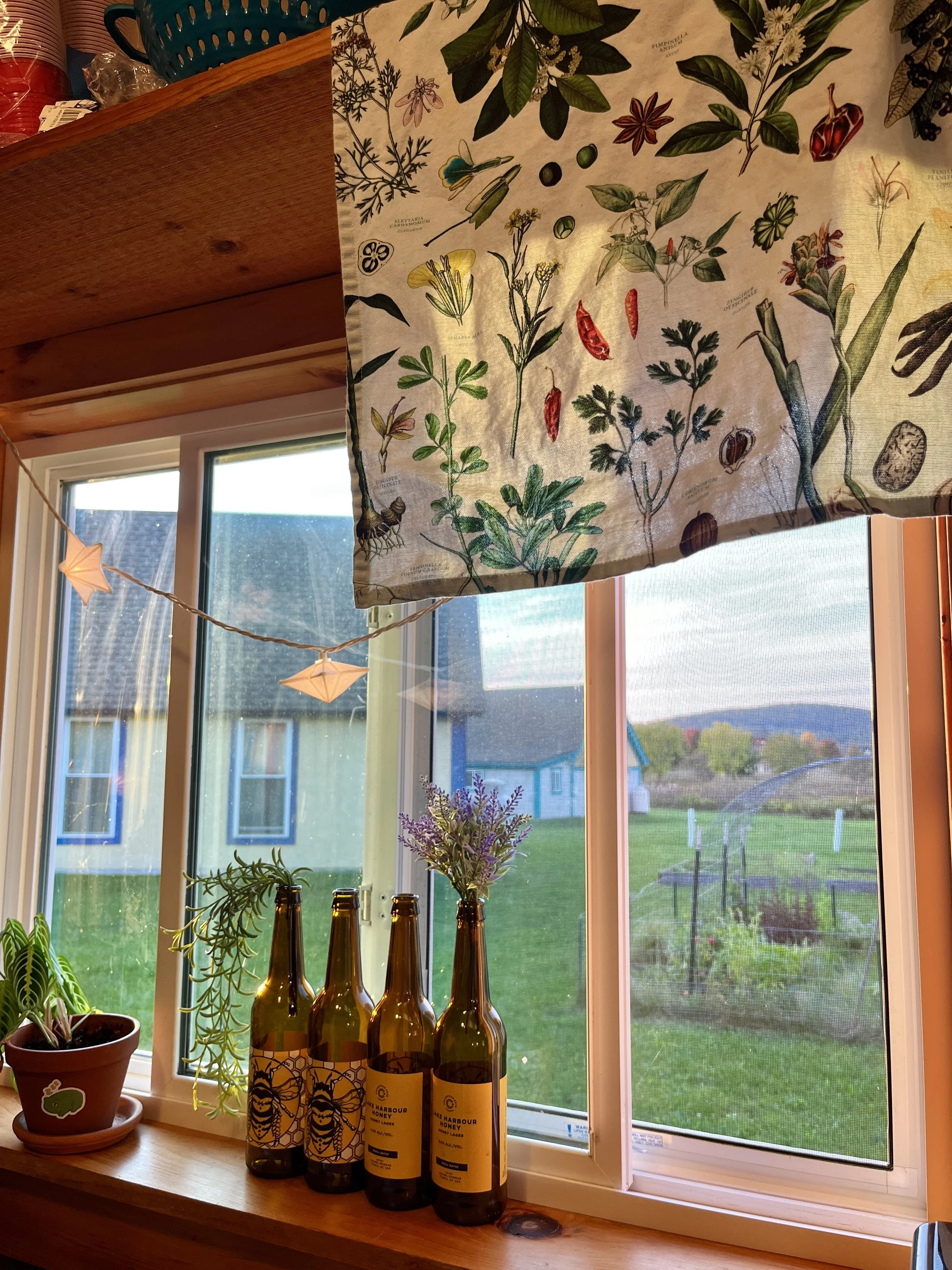 Rachel Feirman 1.jpg