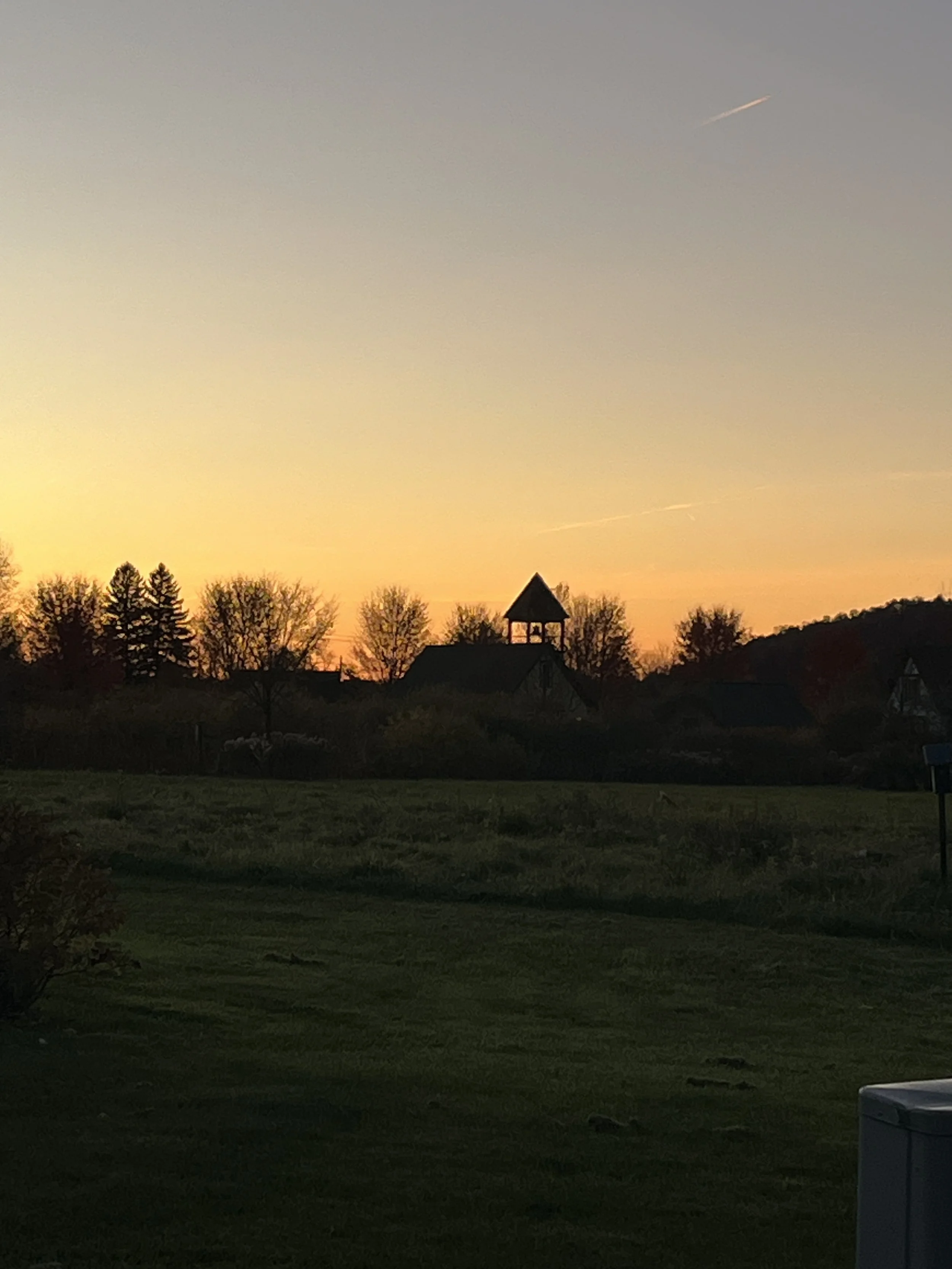 Rachel Feirman 2.JPG