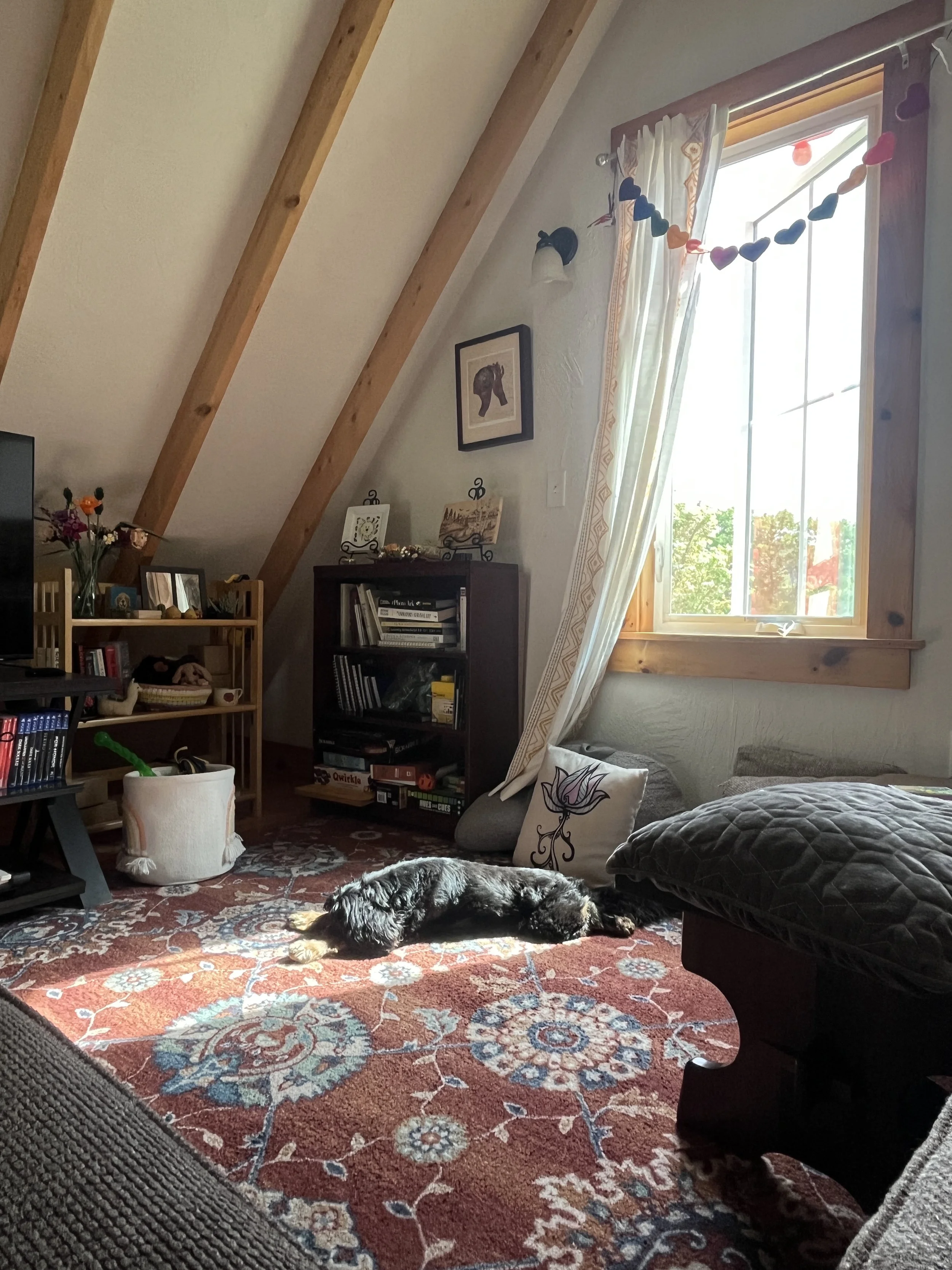 Rachel Feirman 5.JPG