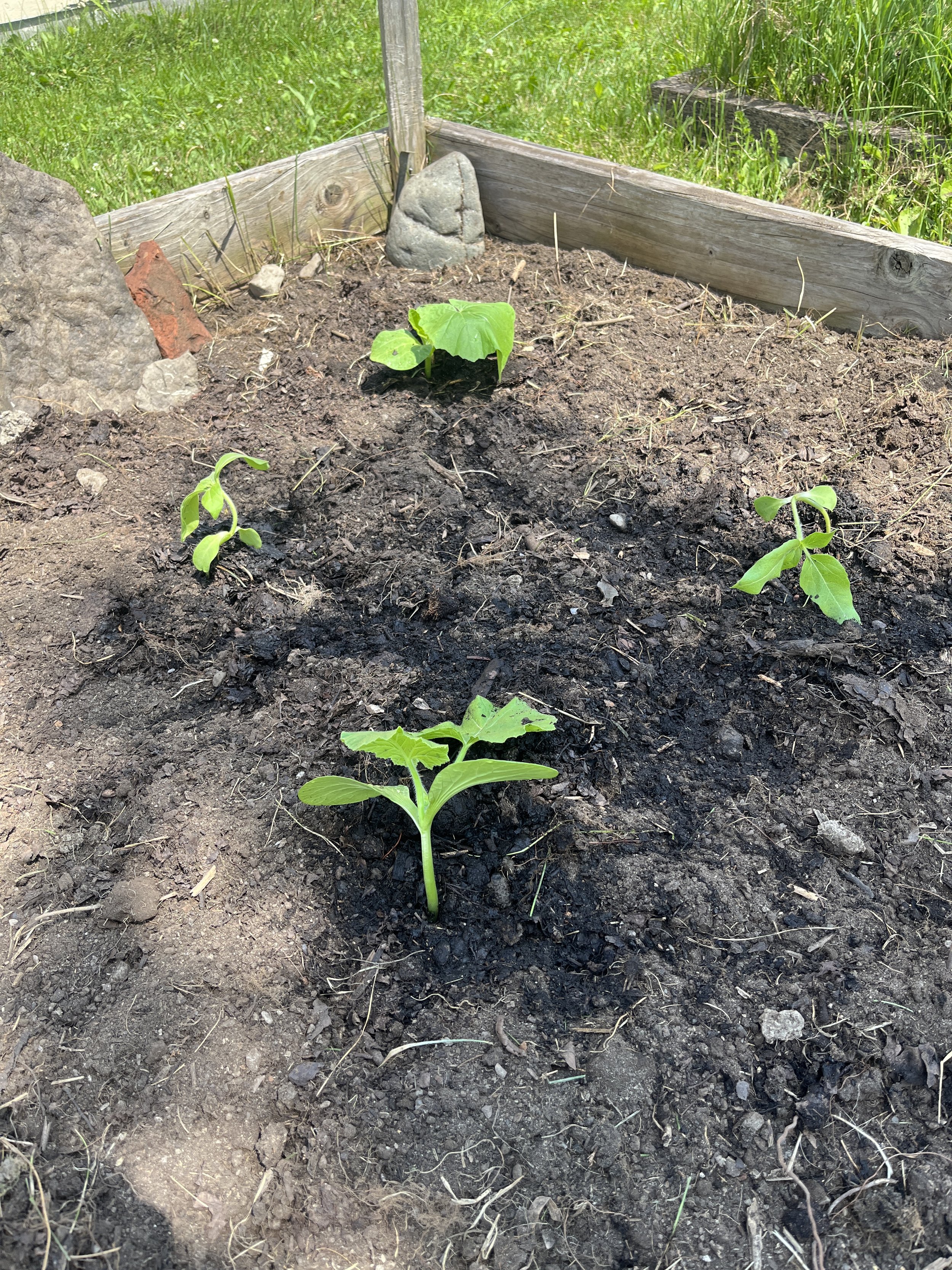 Rachel Feirman 9.JPG