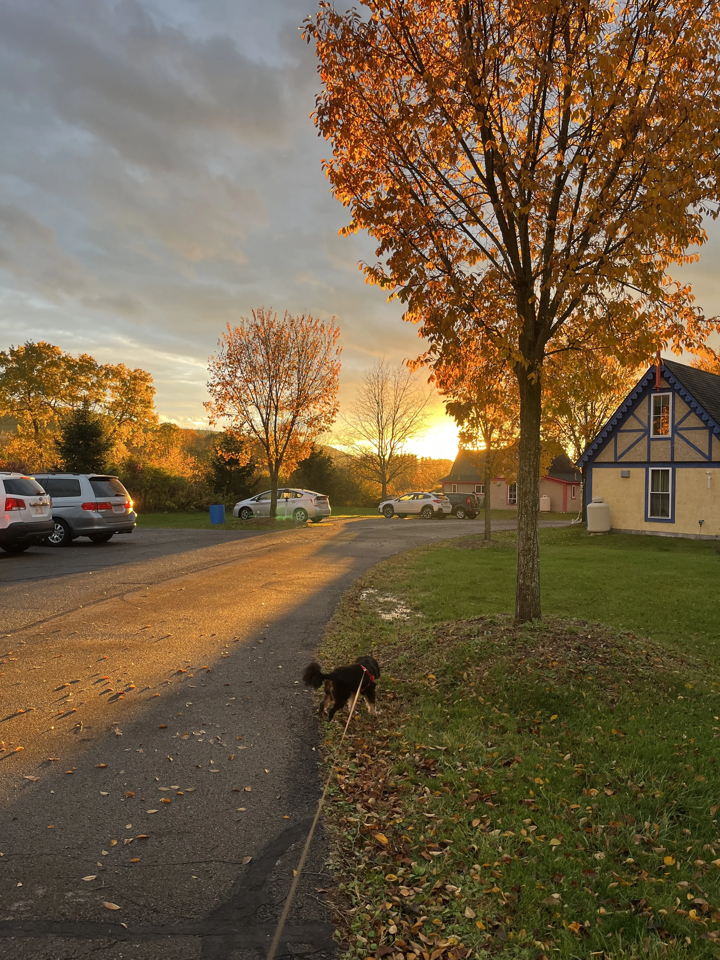 Rachel Feirman 11.JPG