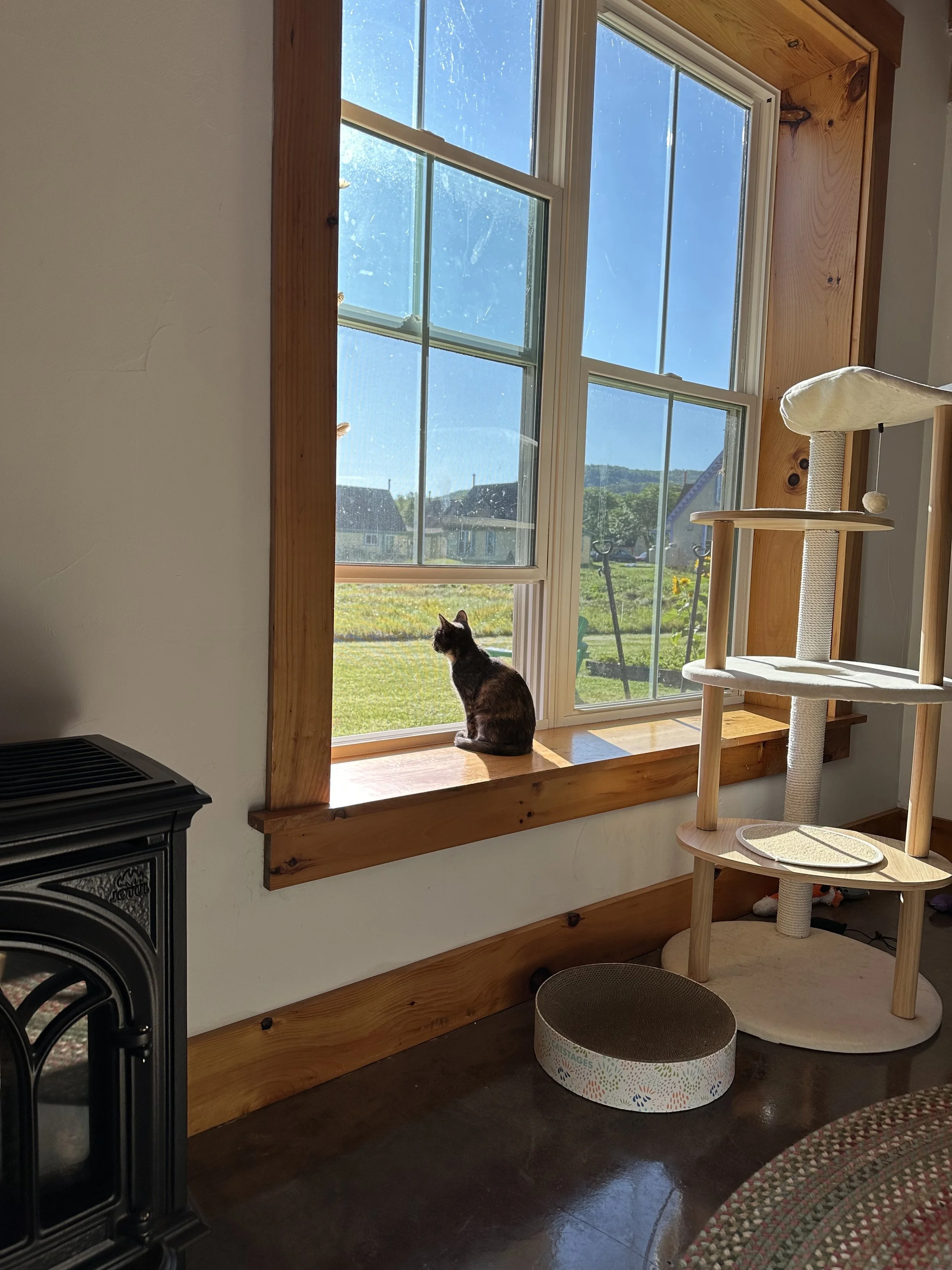 Sandra Urbanczyk 2.jpeg