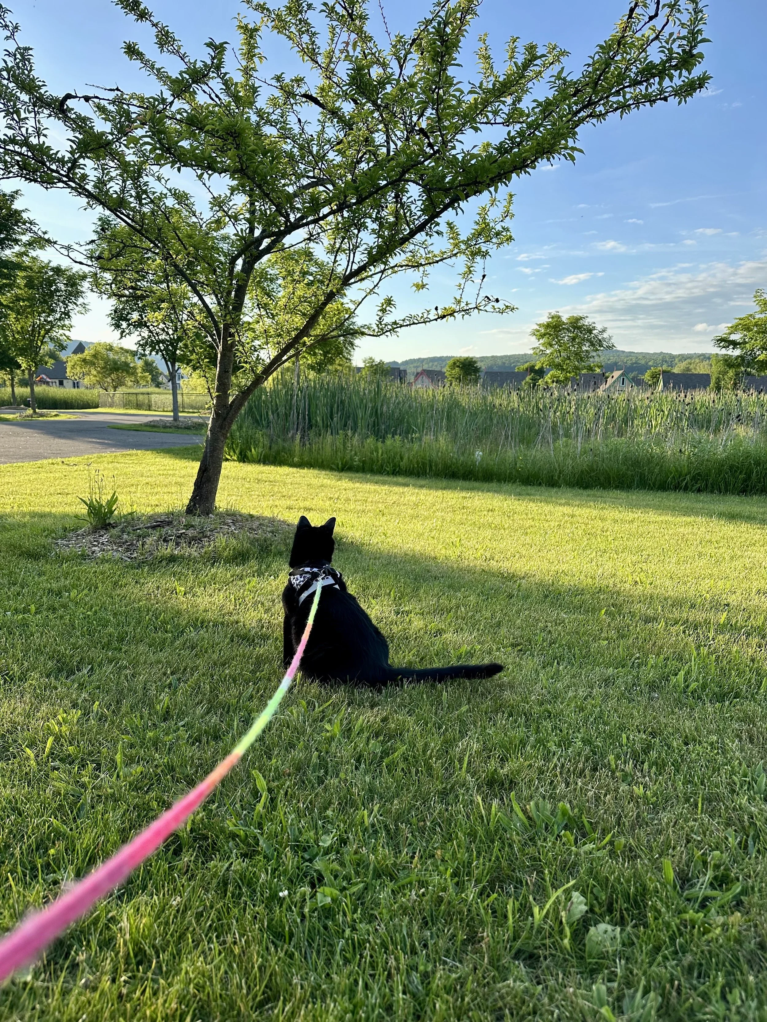 Sandra Urbanczyk 1.jpeg