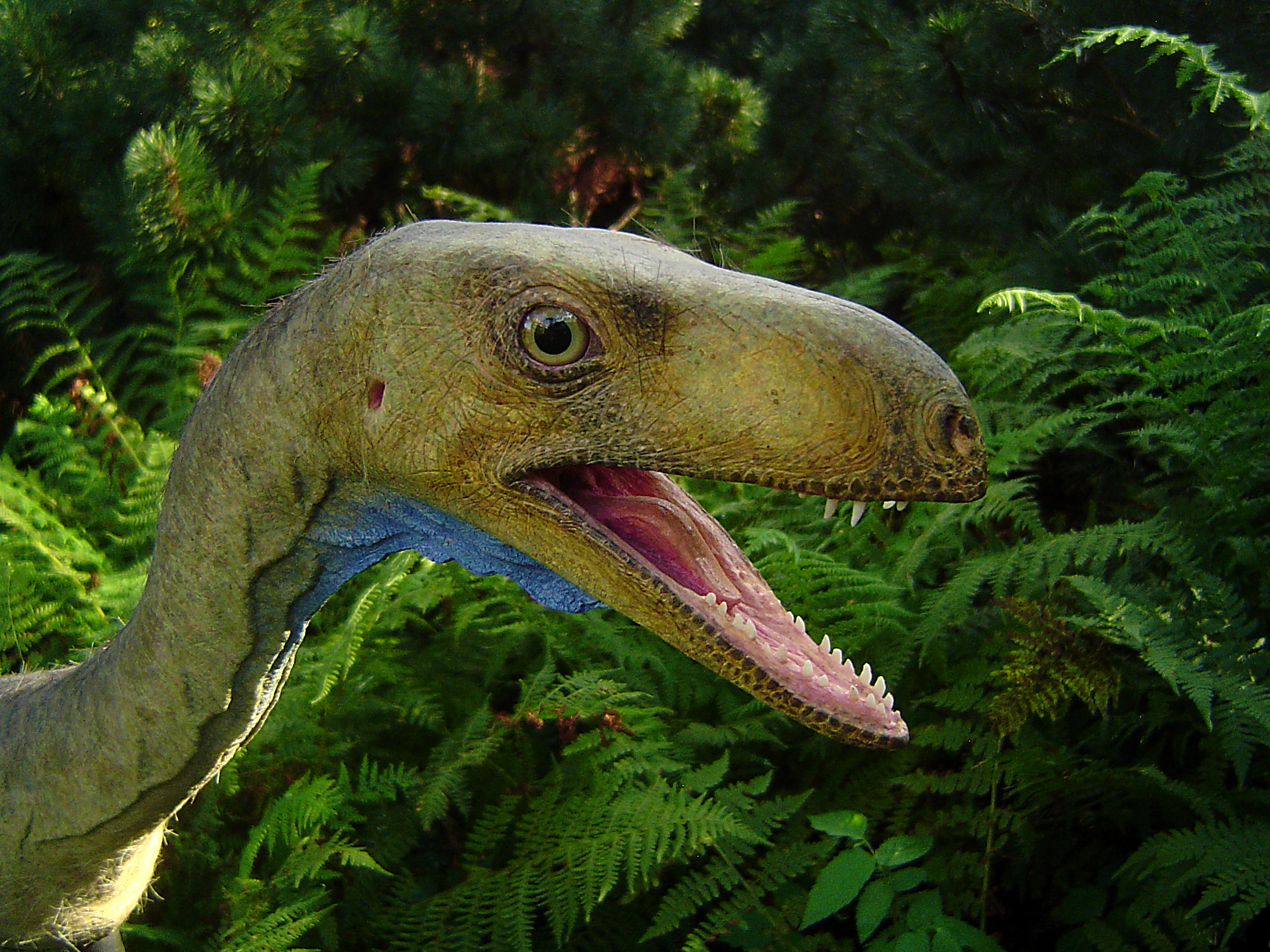 Eodromaeus.jpg