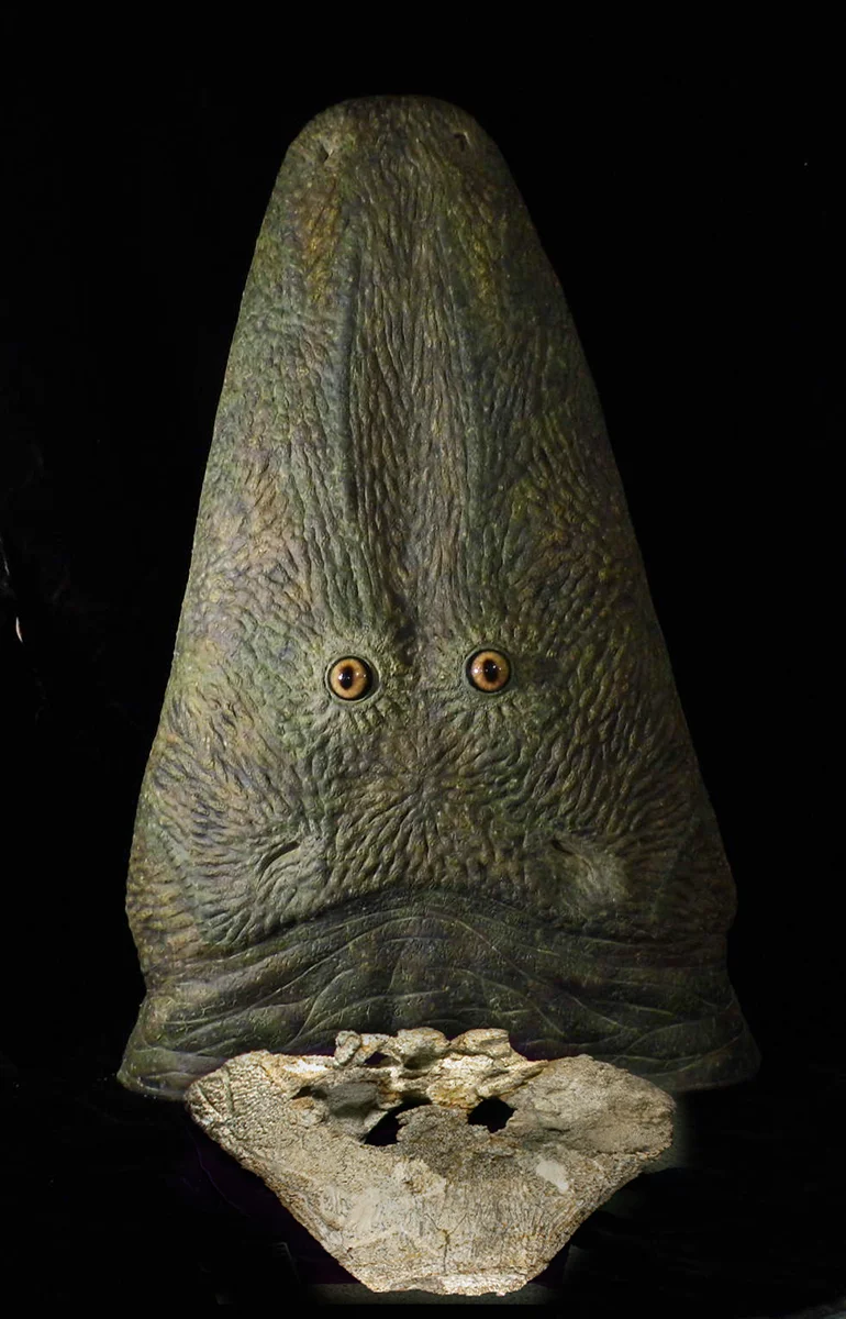 Antarctosuchus vertical head.jpg