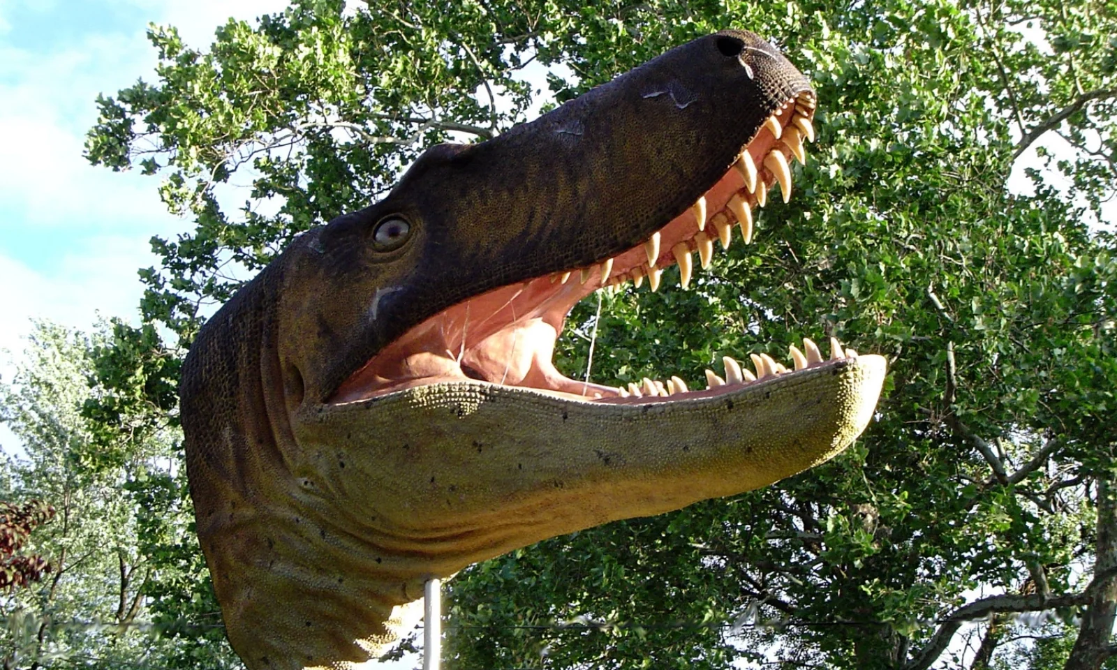 Jane below right.JPG