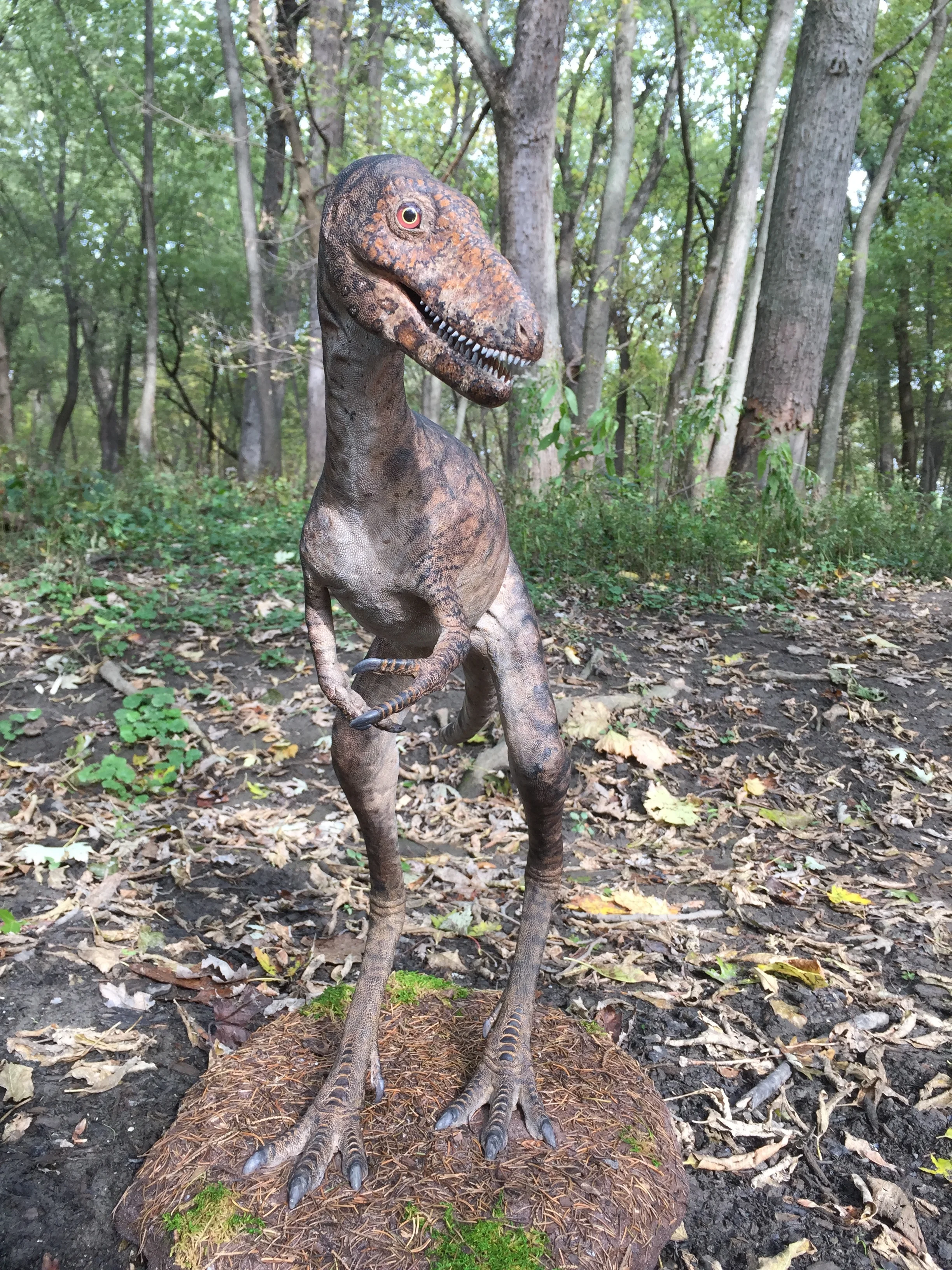 "Little Clint", baby T. rex