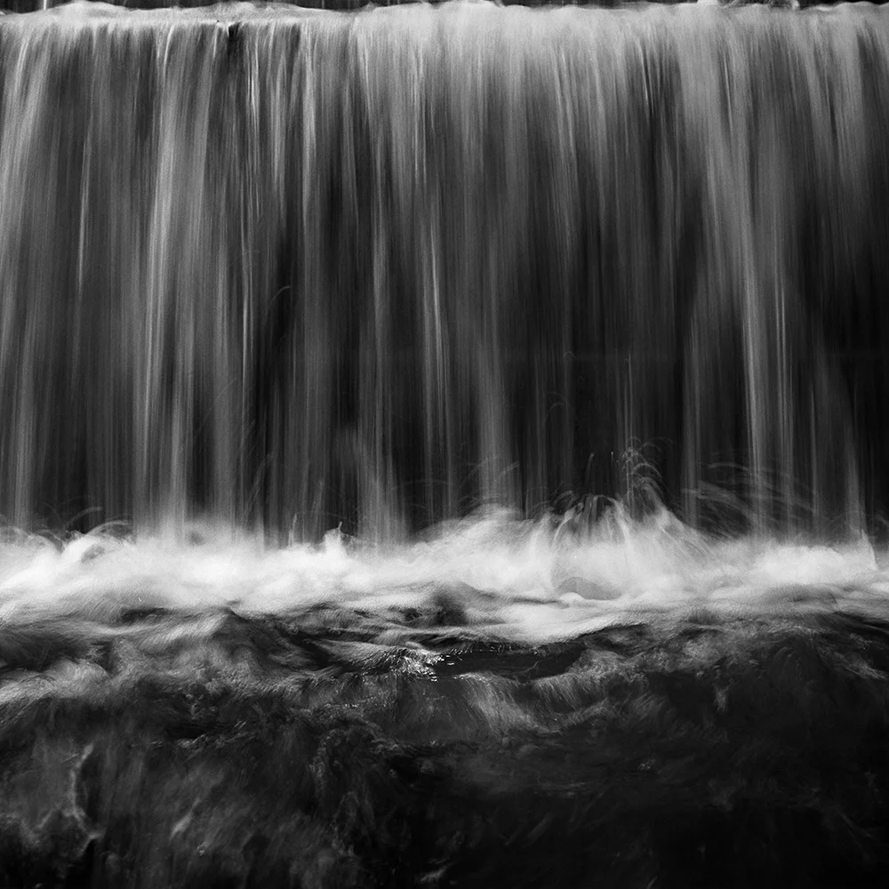 Renaldo_fr12bw_x1.jpg