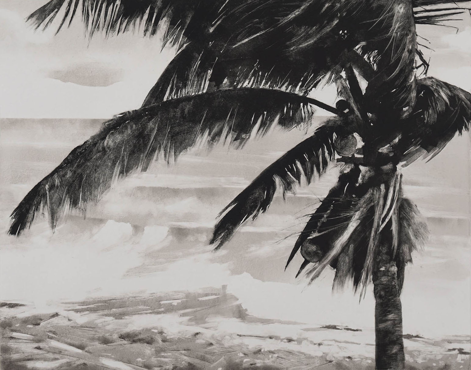 Cayman Brac Palm #2, monotype, 15.5" x 19.75", 2013