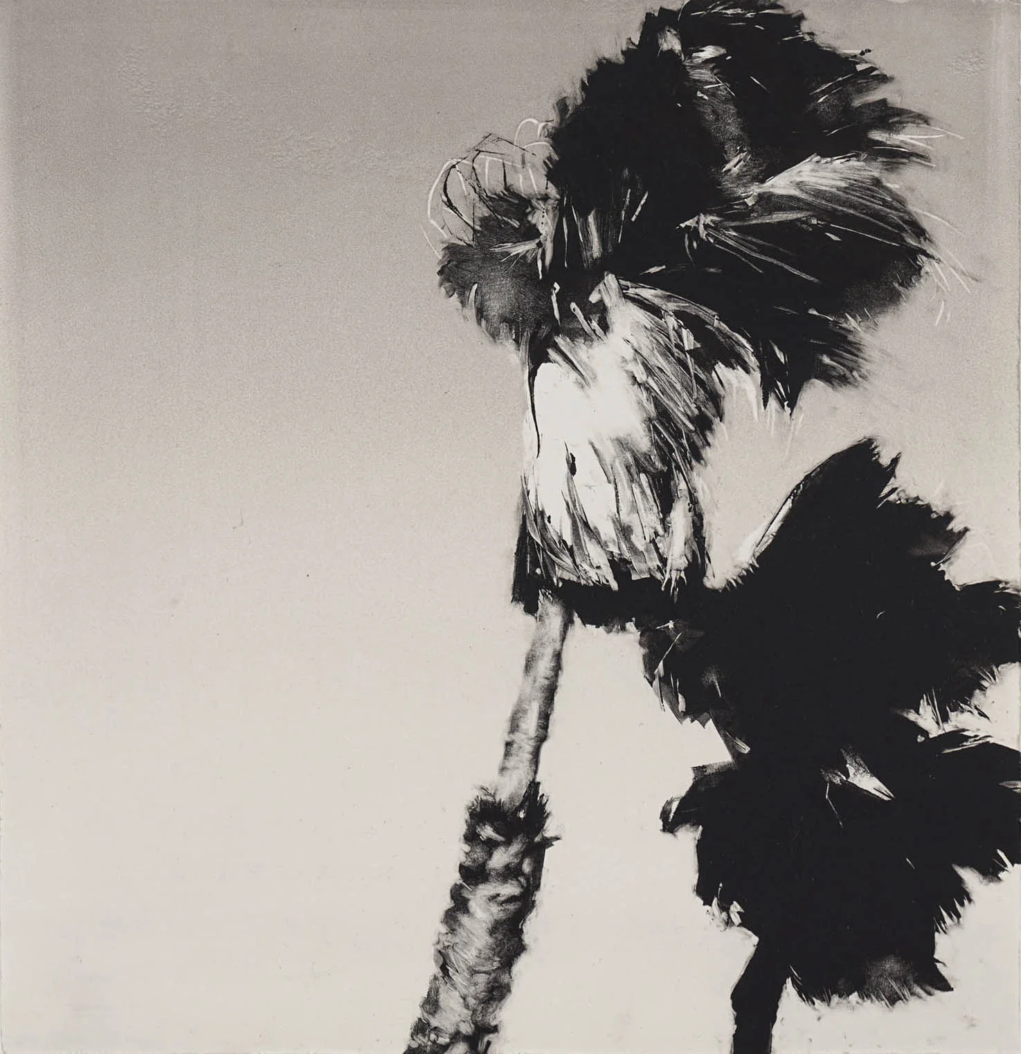 Ventura Palms #2, monotype, 12" x 11.5", 2014