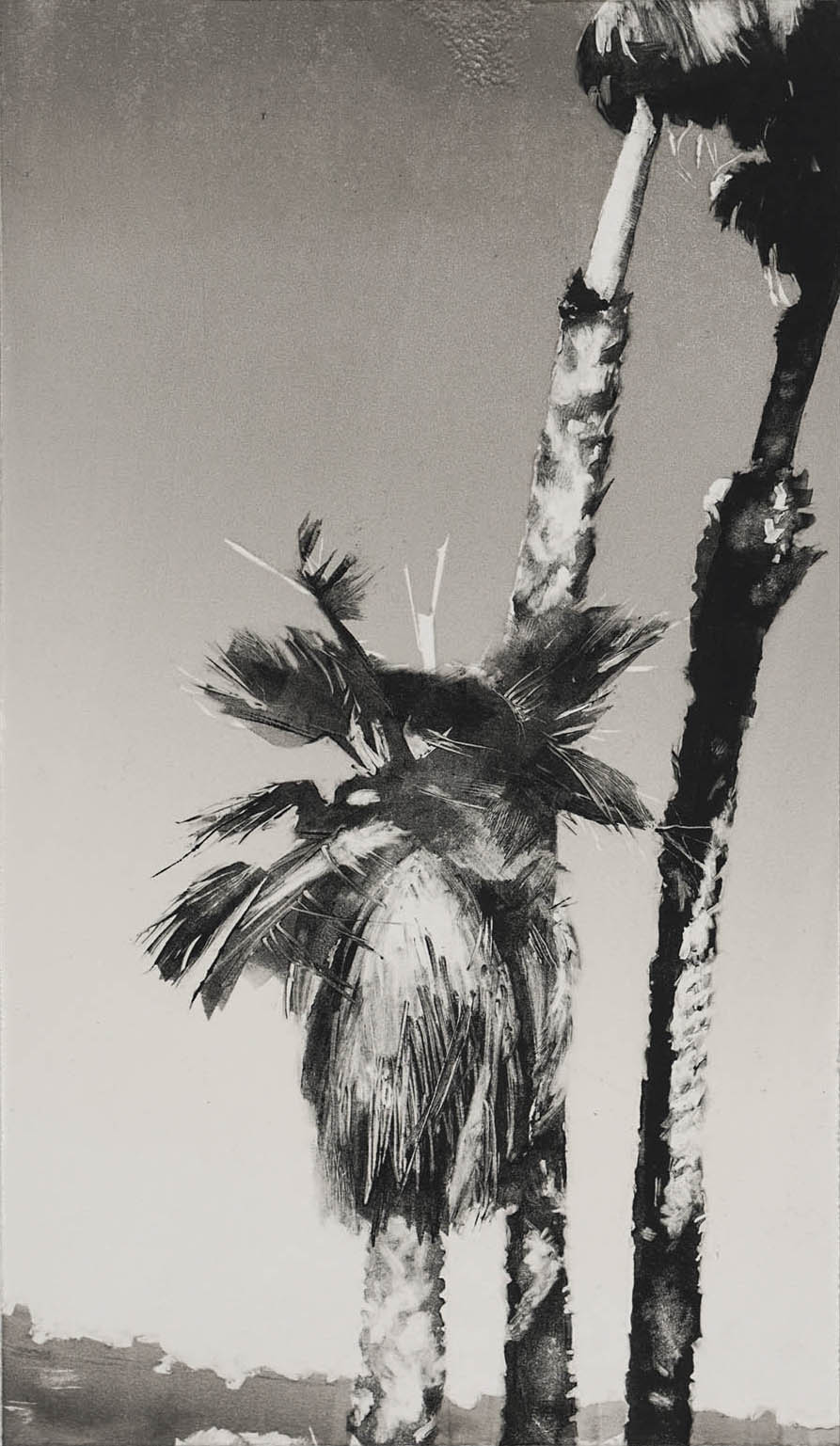 Ventura Palms #5, monotype, 14.5" x 8.5", 2014