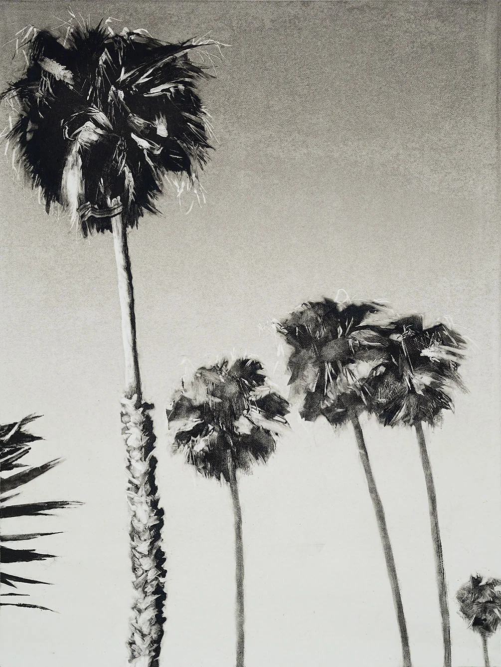 Deck View, monotype, 14.5" x 11", 2014