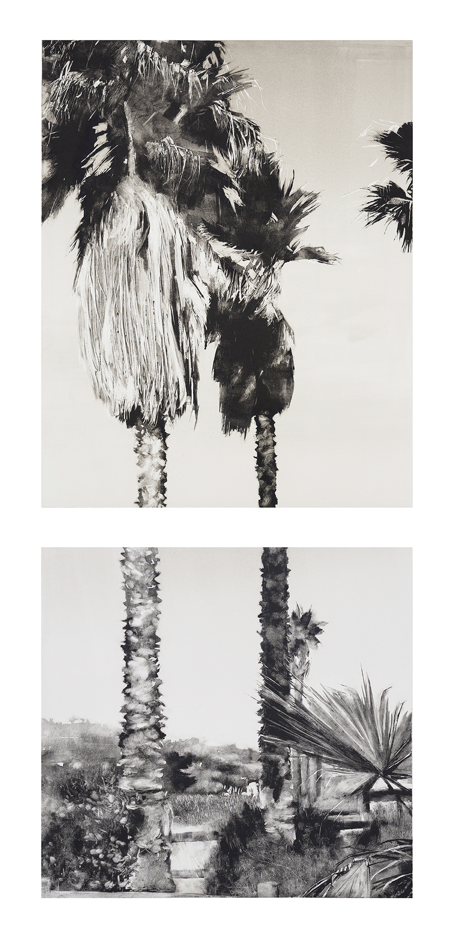 Skyward, monotype, 38" x 15.5" overall, 2015
