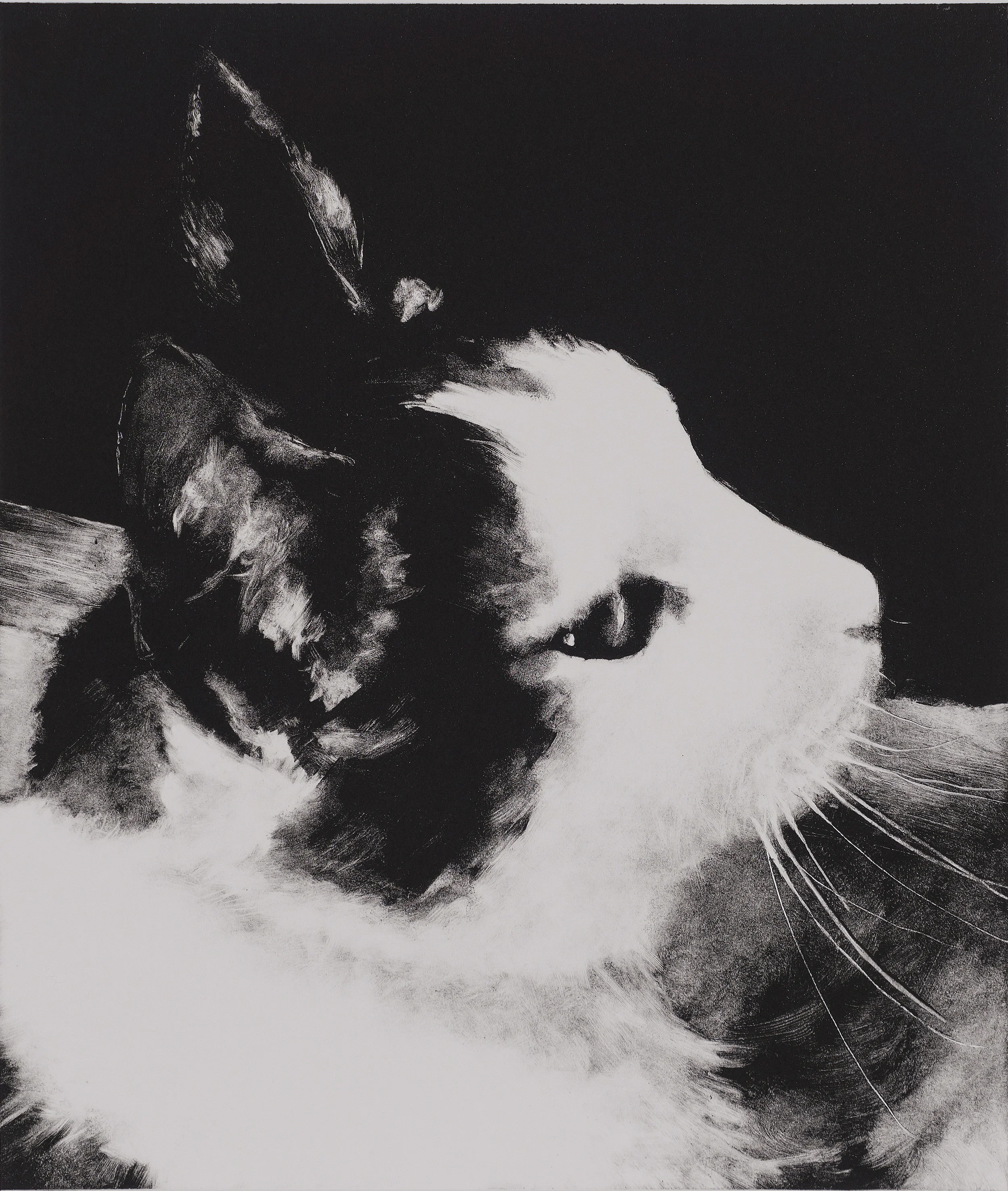 Cat No.2 (Moon), monotype, 14" x 12", 2016