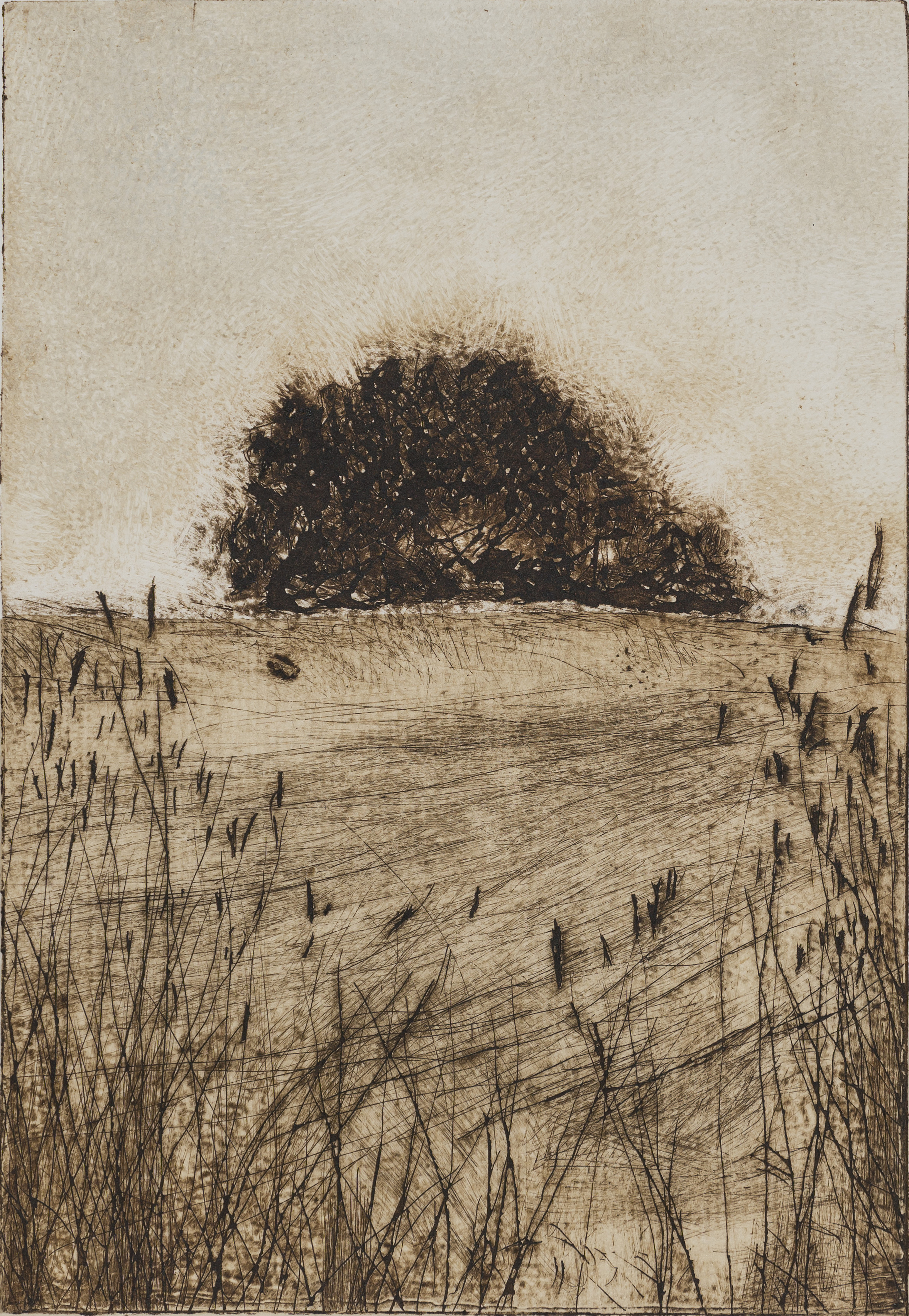 Field, shellac print with chine-collé, 5" x 7.25", 2015
