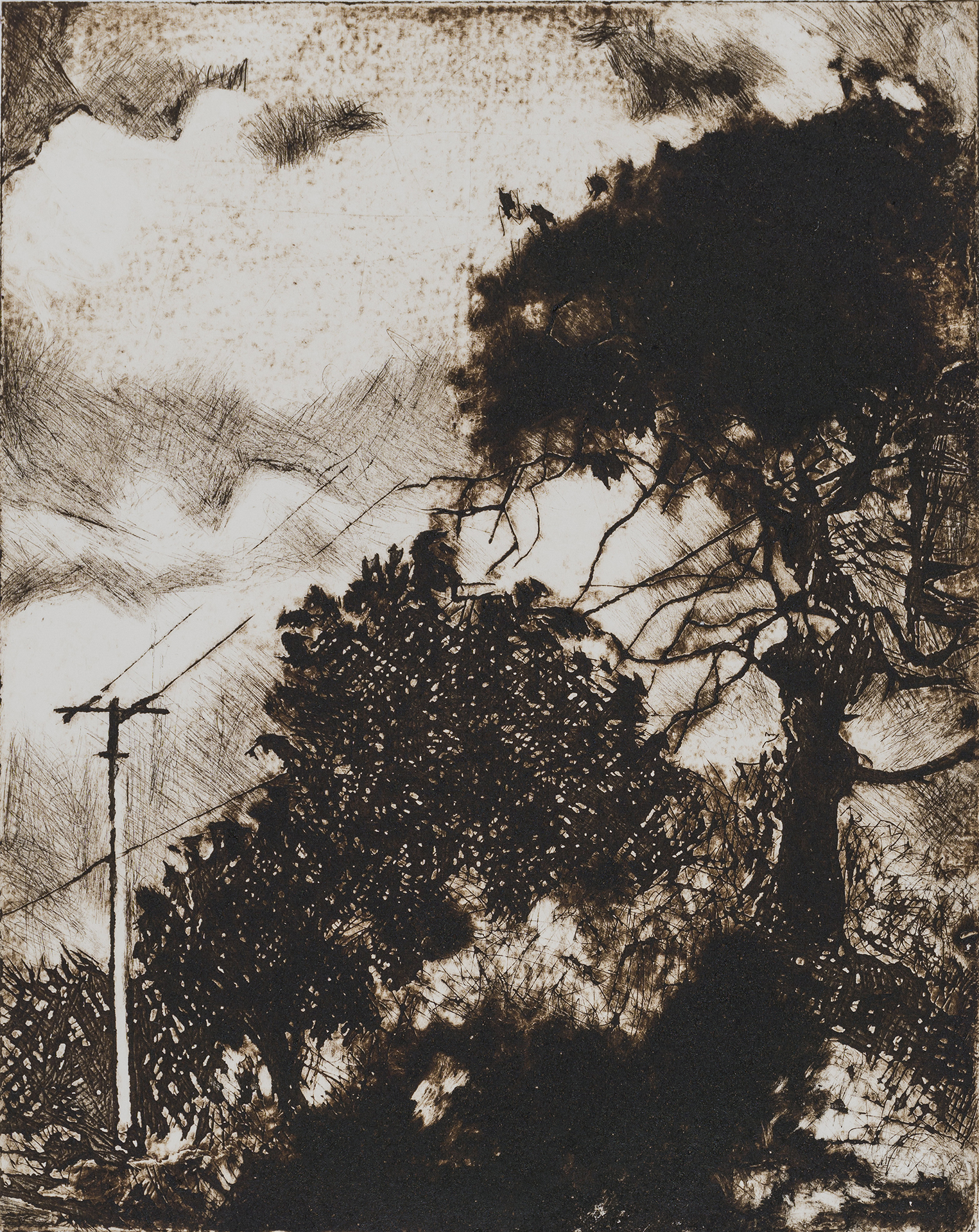 Crystal Springs, shellac print, 8" x 10", 2015