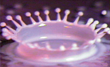 Hidden by Time: Seeing the Physical World with High-Speed Cameras (DVD)