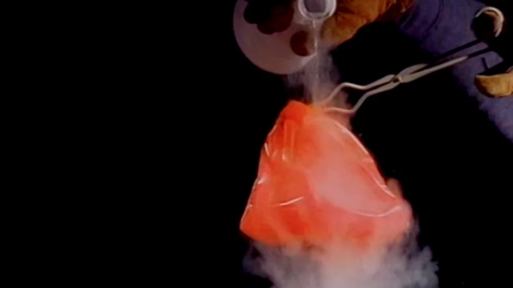 Kinetic Model: Temperature Effects on Gases