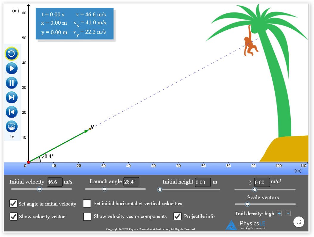 Physics Simulation - Projectile Motion