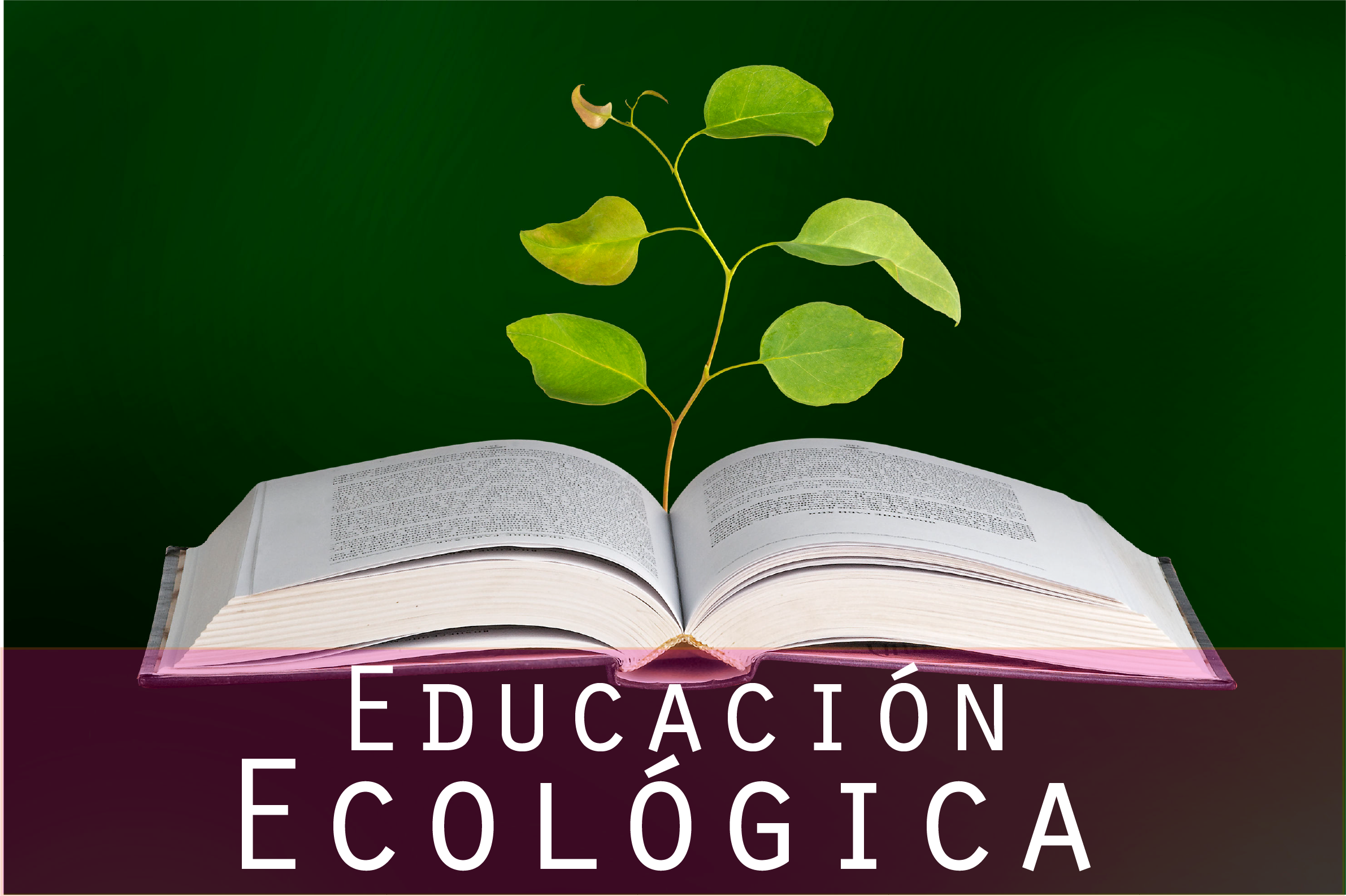 Educación Ecológica.png