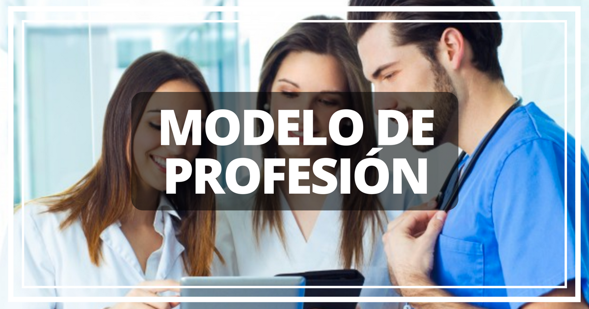 modelo de profesion.png