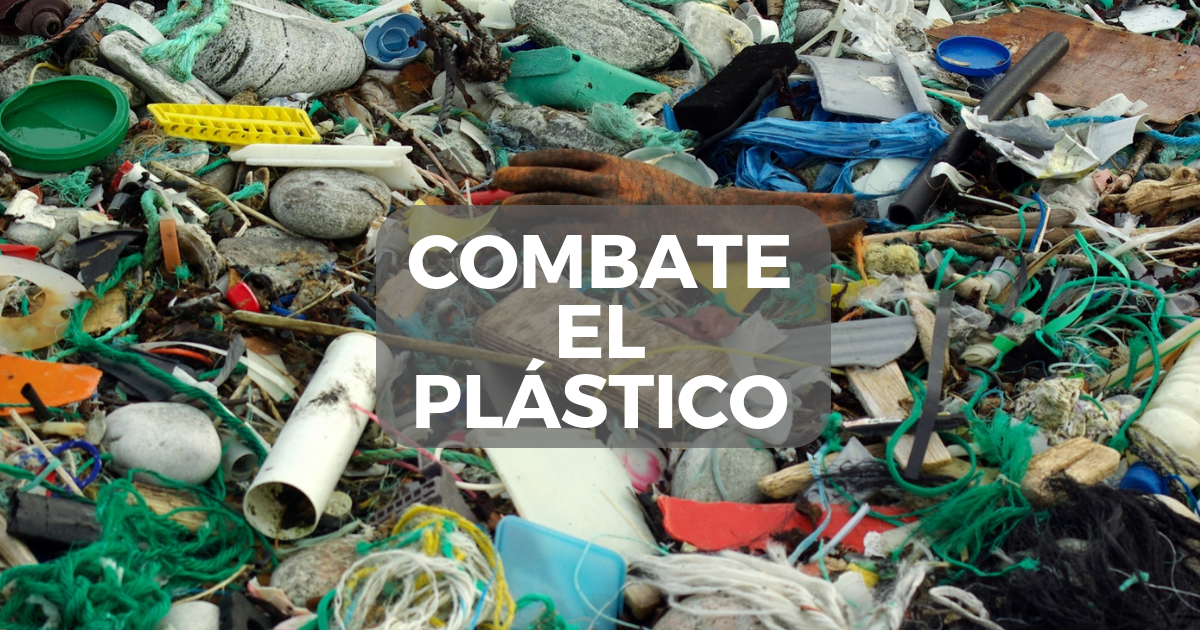 ¿Cómo combatir al plástico: el peor enemigo del planeta?