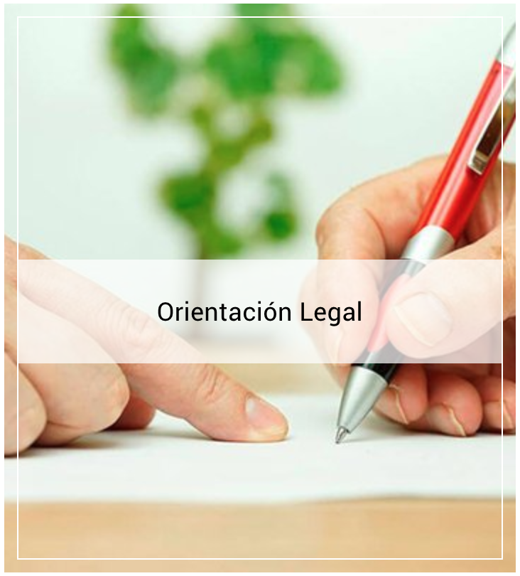 Copy of Obtén ayuda legal
