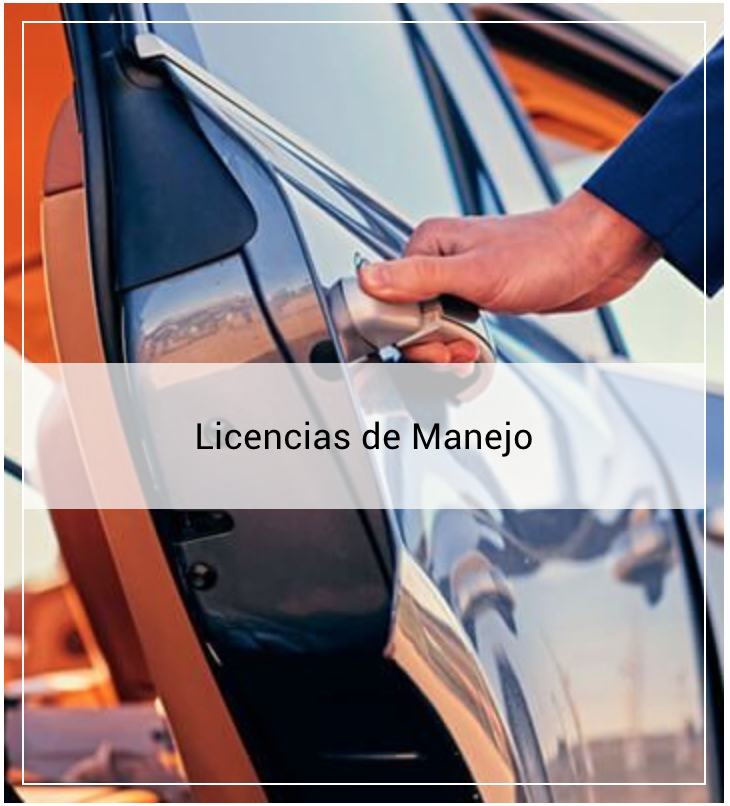 Copy of ¡Obtén tu licencia de conducir!&nbsp;