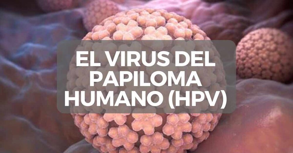 papiloma que es y para que sirve vestibular papillomatosis compared to genital warts