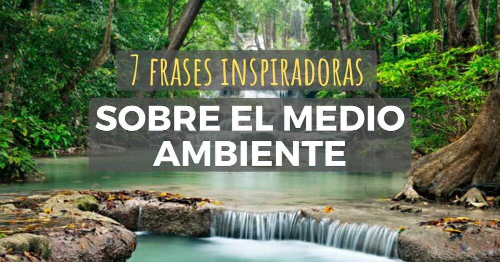 7 Frases Inspiradoras Sobre El Medio Ambiente Y Su Cuidado La Red Hispana
