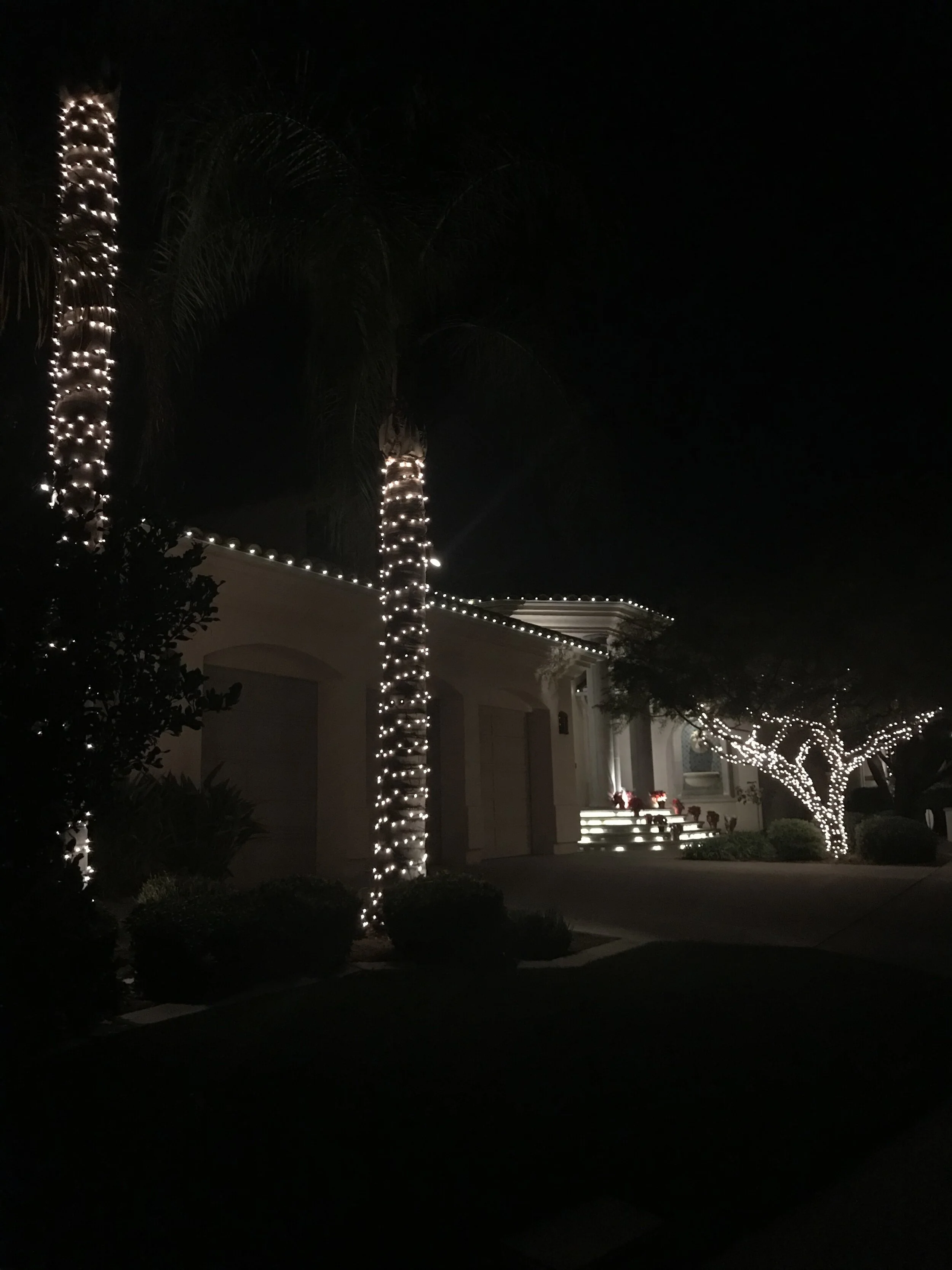 IMG_9088.JPG