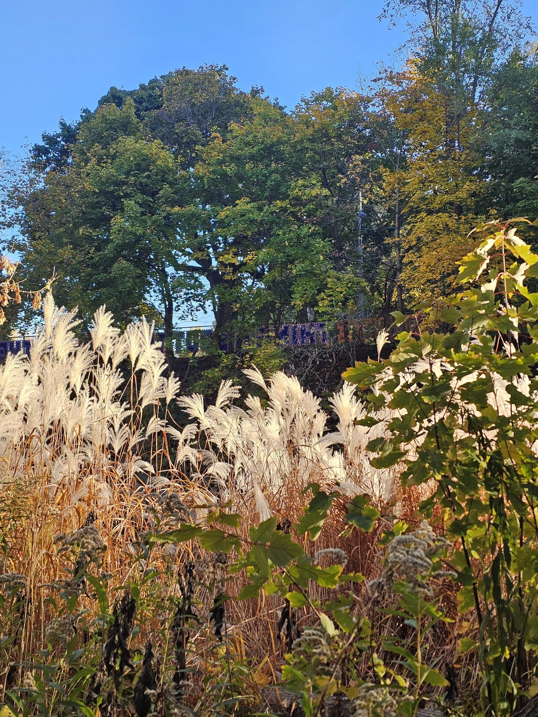 We Must Love and Support One Another, 2025