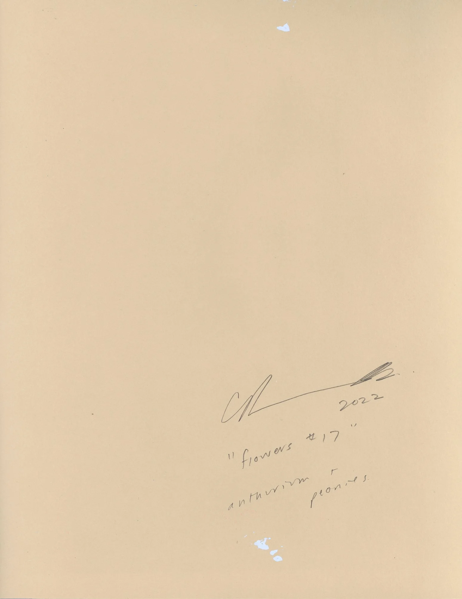 flowers #17 back.jpg