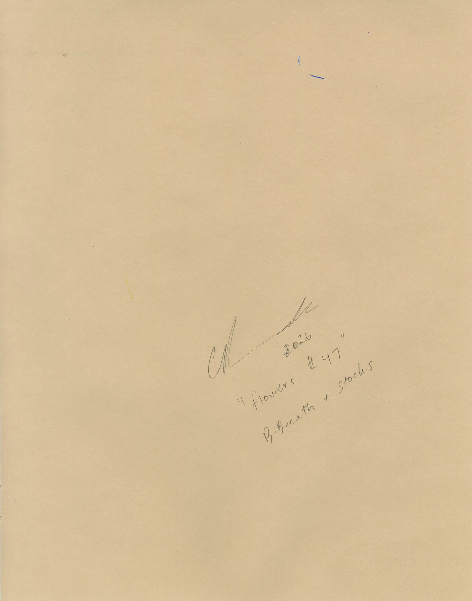 flowers #47 back.jpg