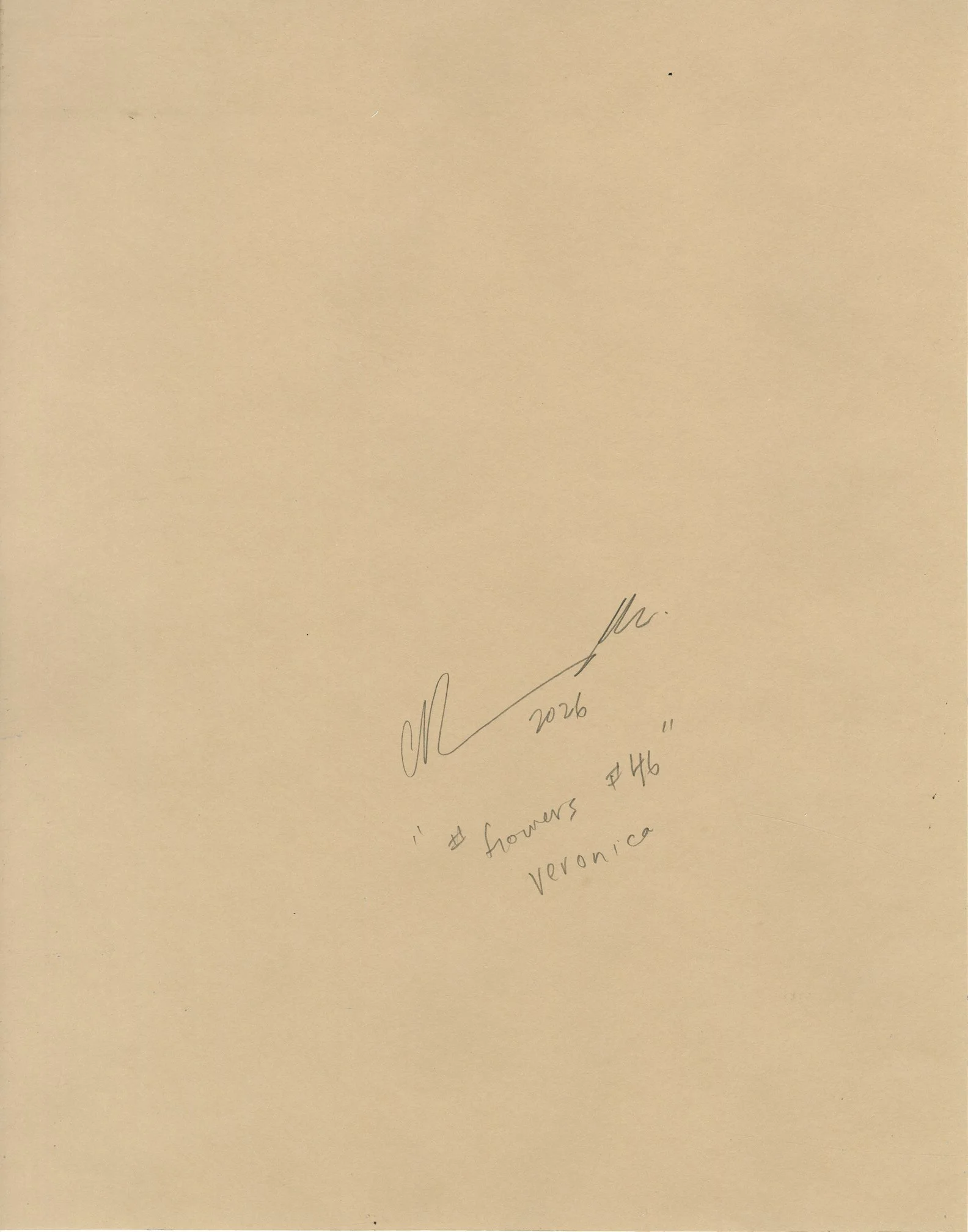 flowers #46 back.jpg