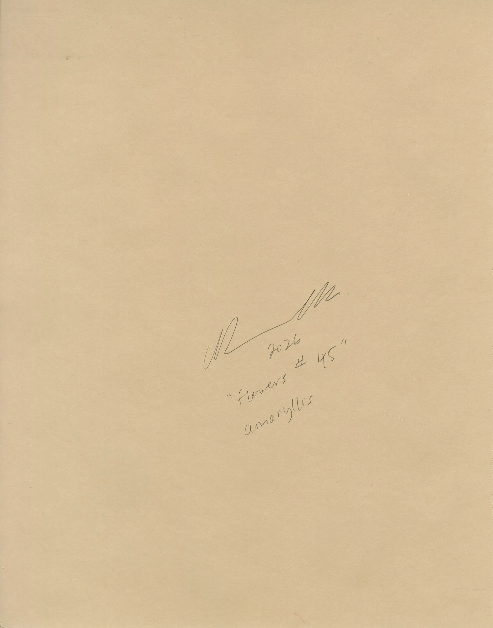 flowers #45 back.jpg