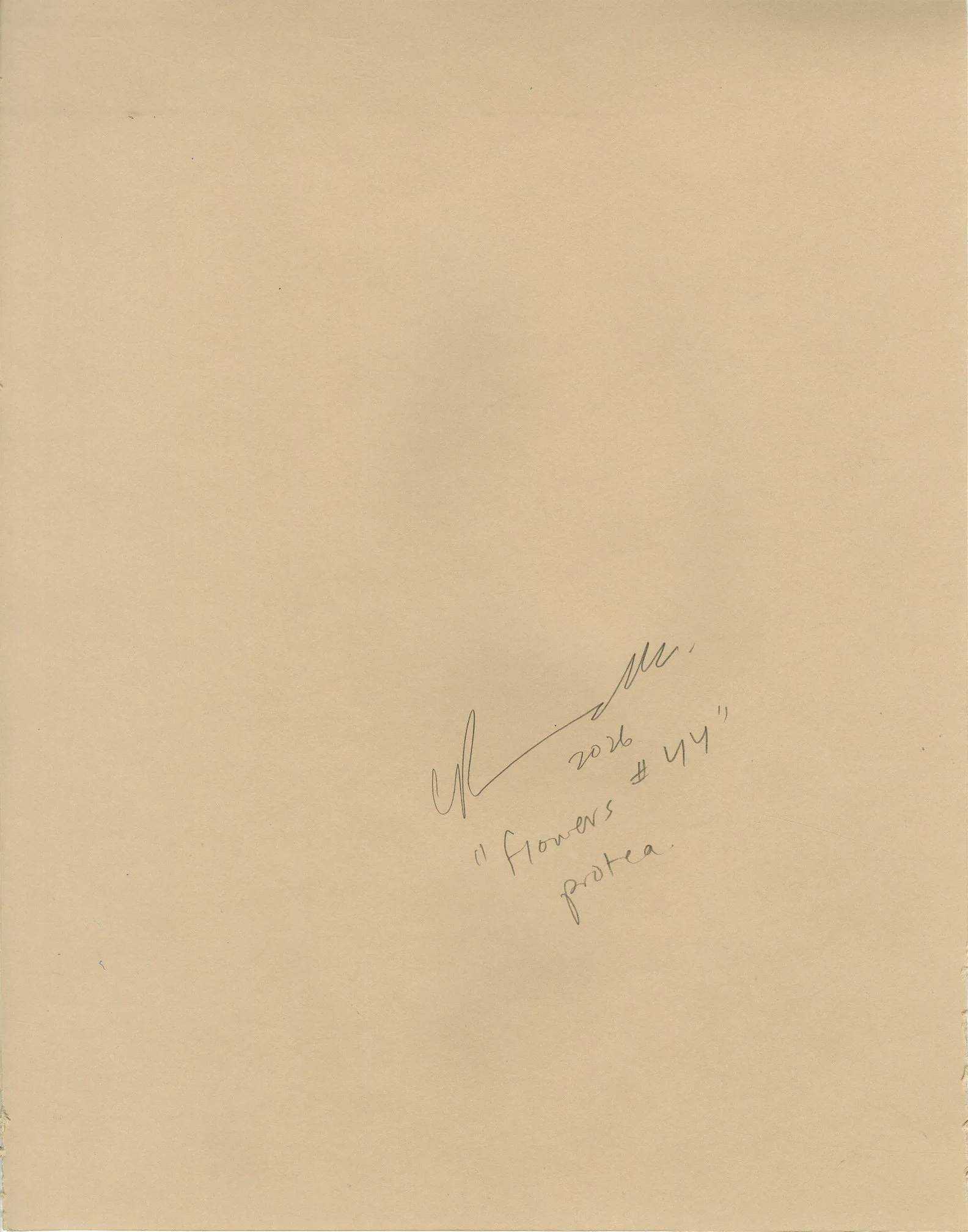 flowers #44 back.jpg